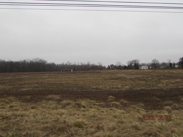 Tbd E Pickard Road Chippewa Township MI 48858