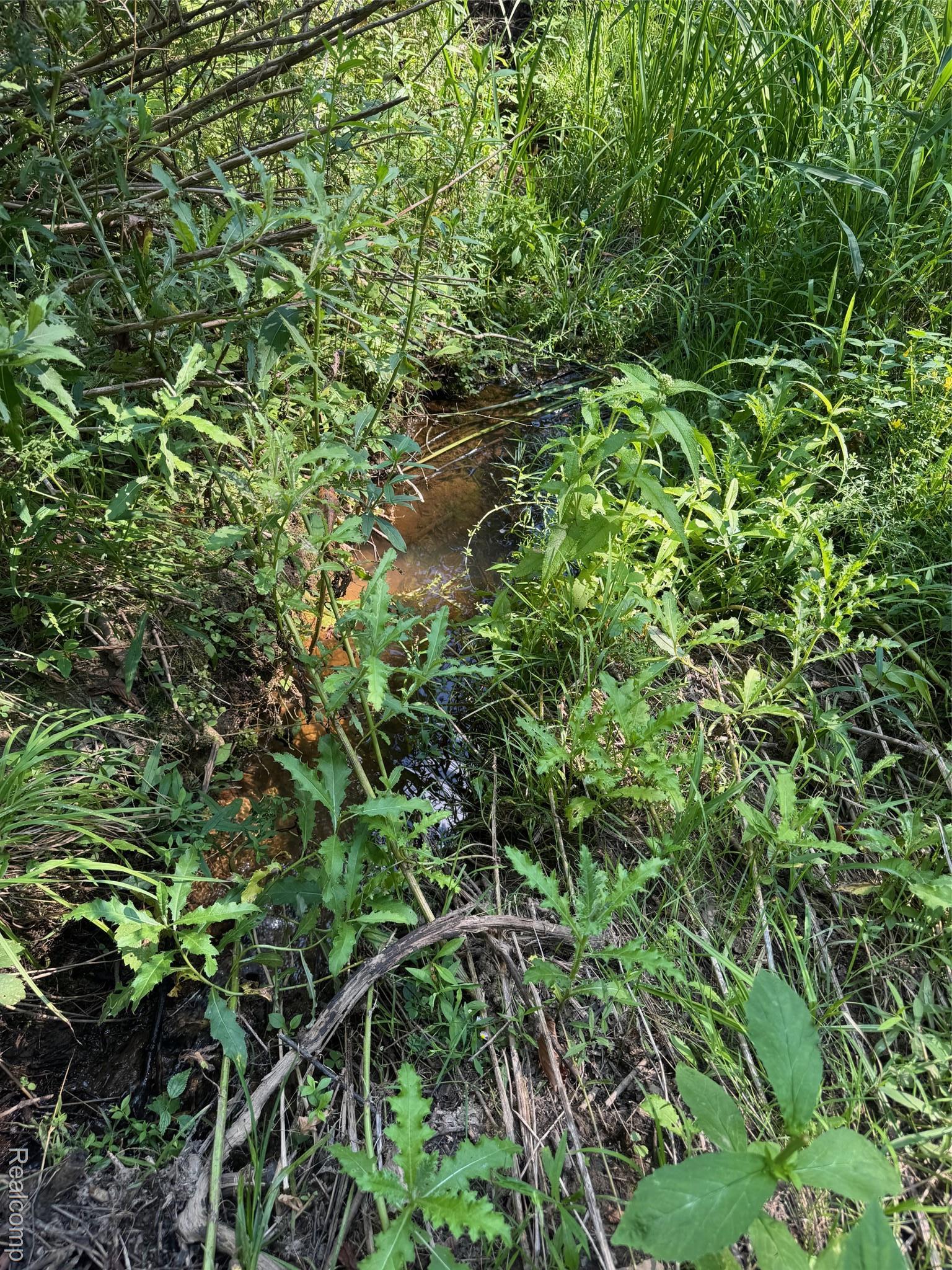 Ville S Mill Road Dryden Township MI 48428