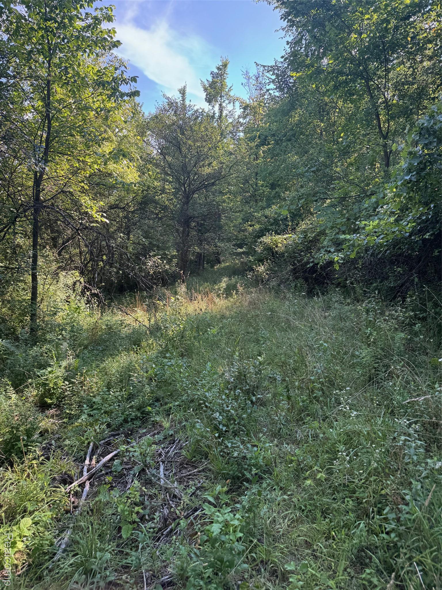 Ville S Mill Road Dryden Township MI 48428