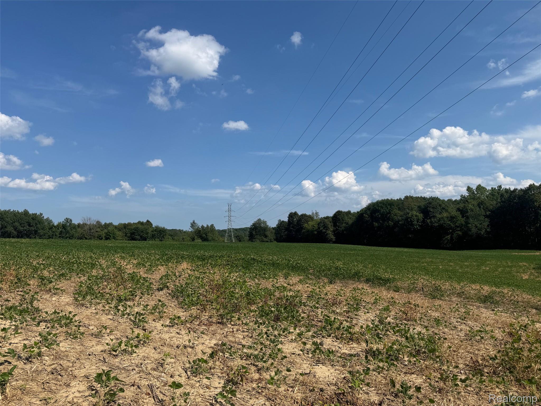 Ville S Mill Road Dryden Township MI 48428