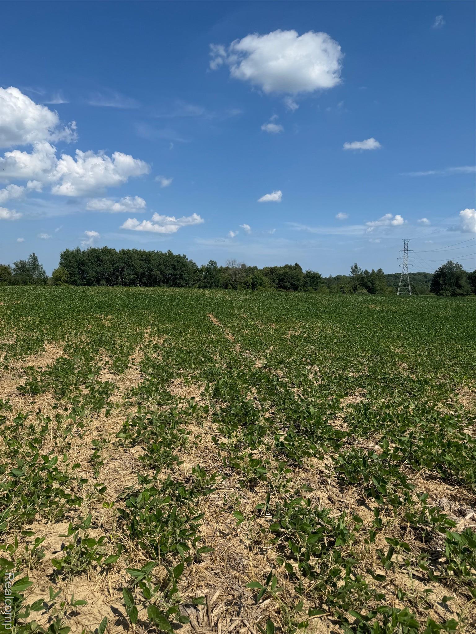 Ville S Mill Road Dryden Township MI 48428