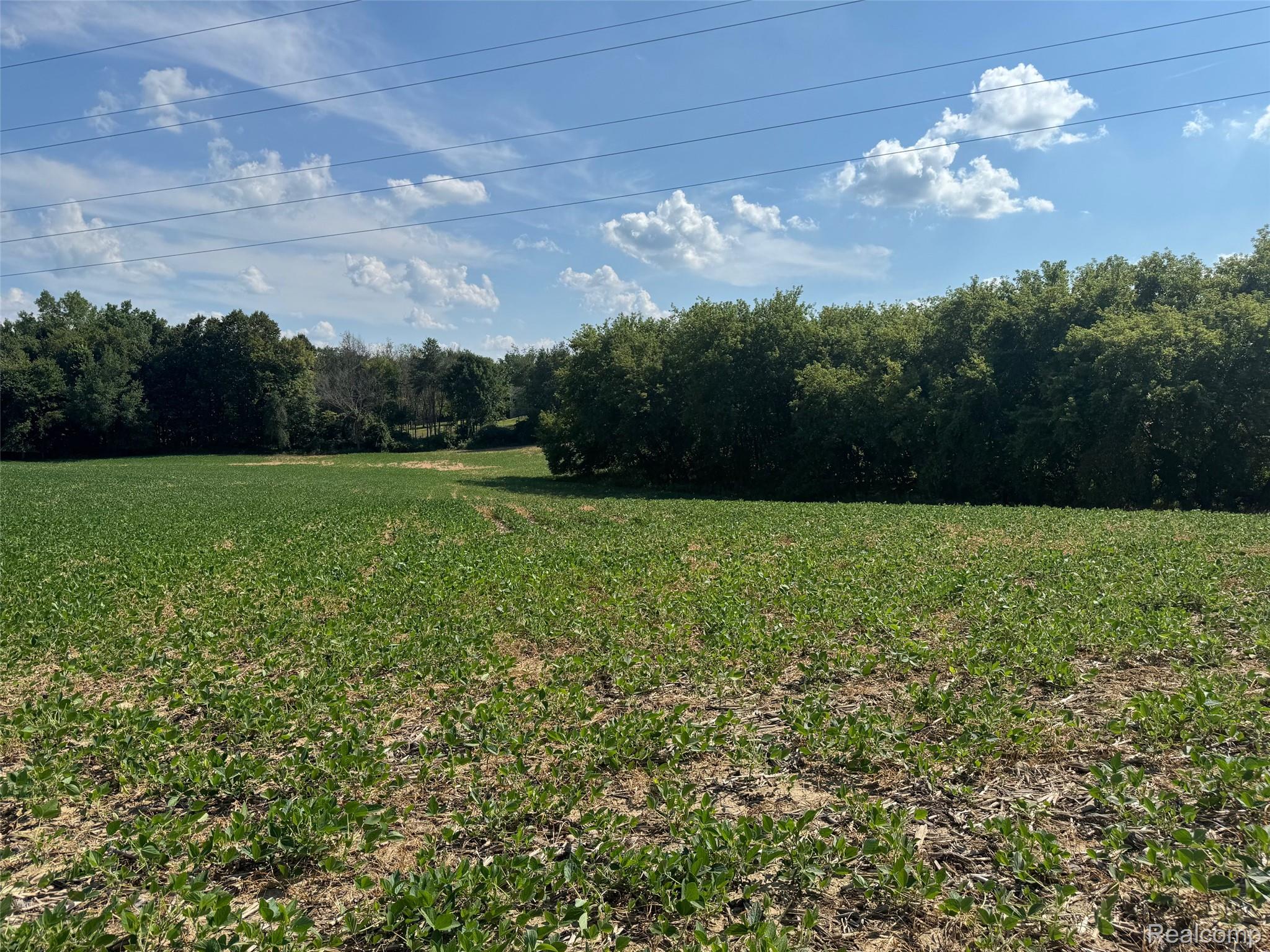 Ville S Mill Road Dryden Township MI 48428