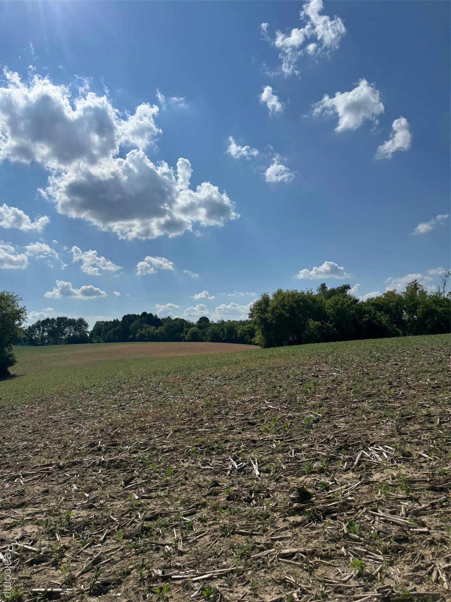 Ville S Mill Road Dryden Township MI 48428
