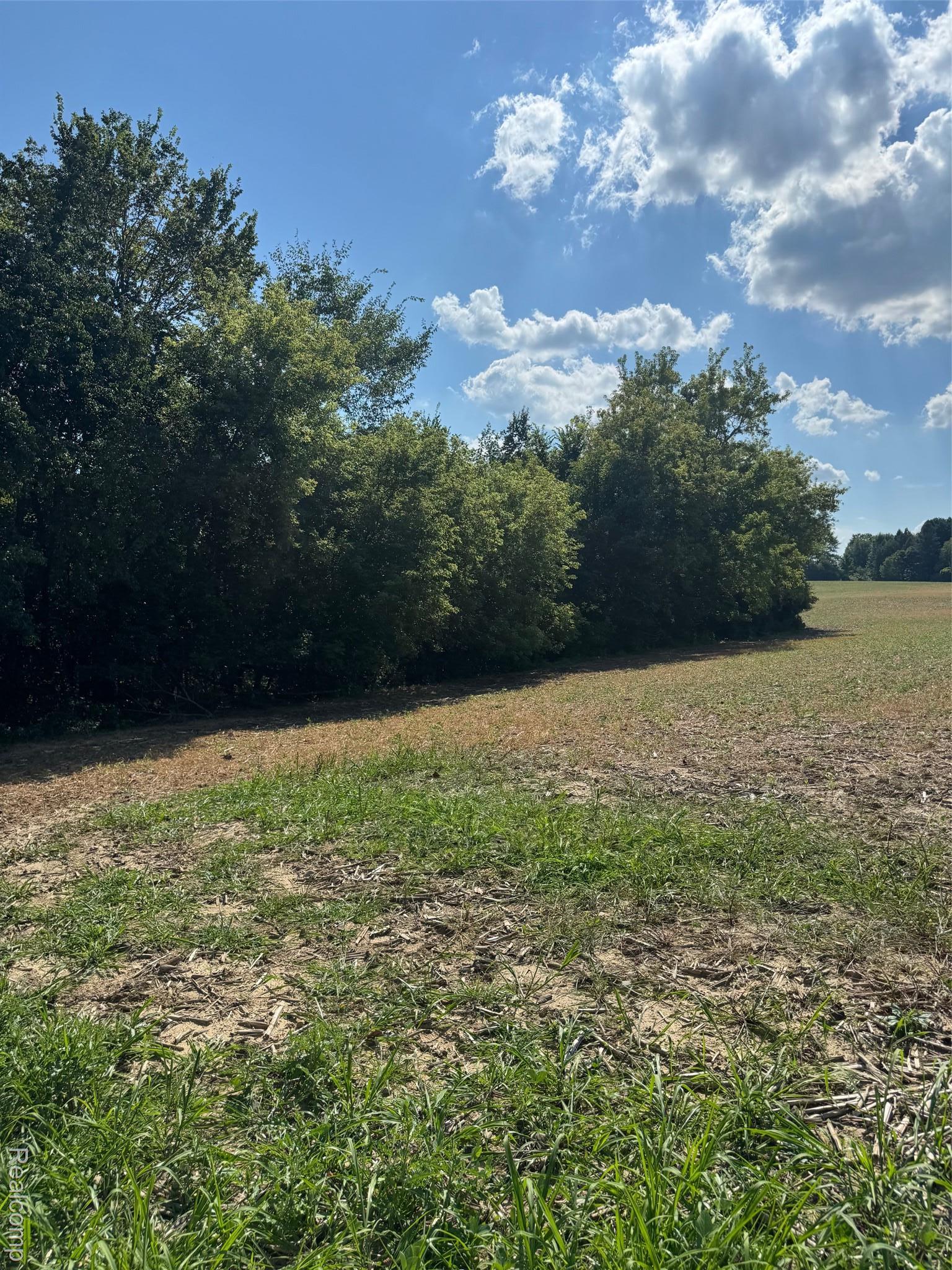 Ville S Mill Road Dryden Township MI 48428