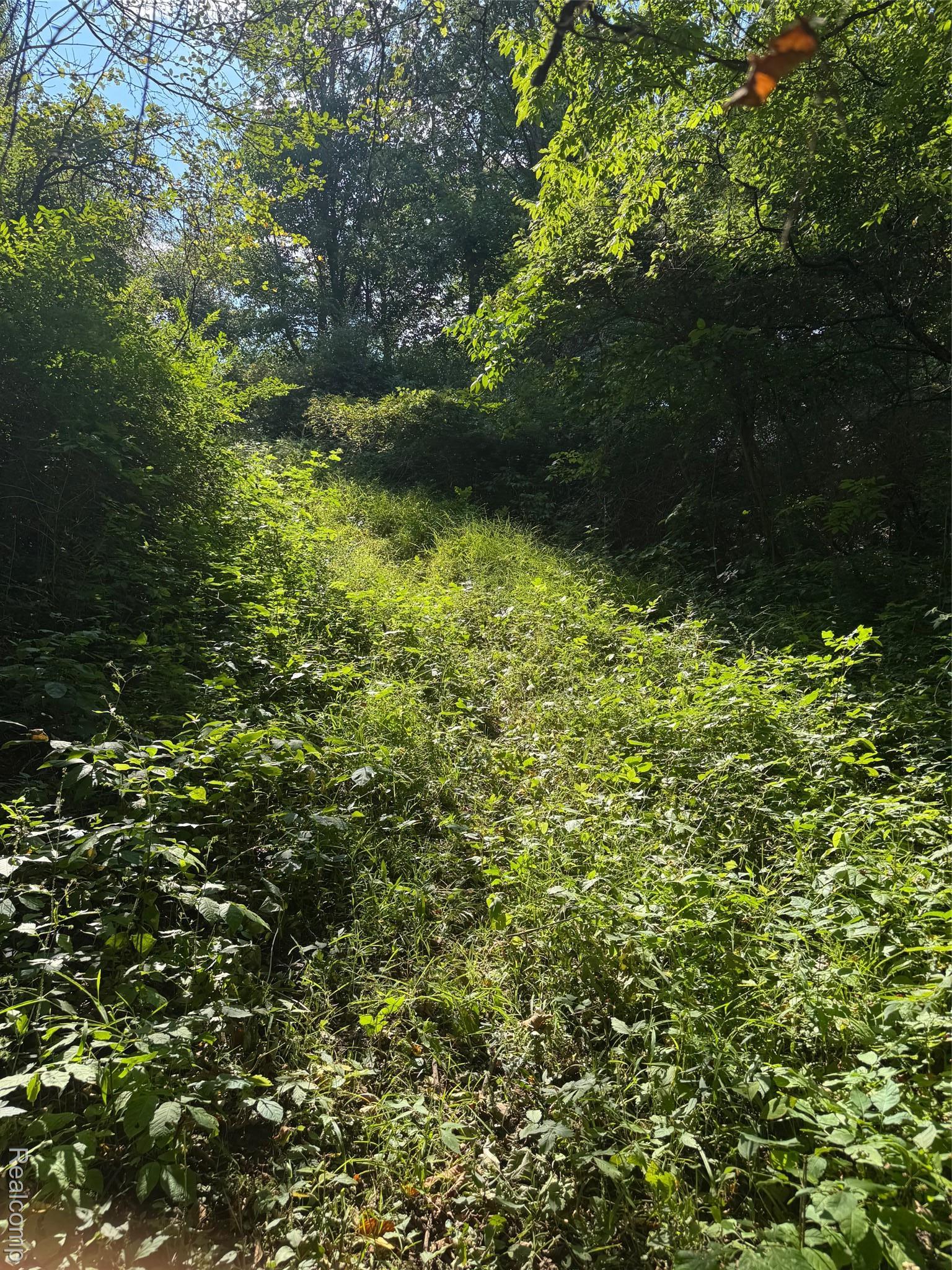 Ville S Mill Road Dryden Township MI 48428