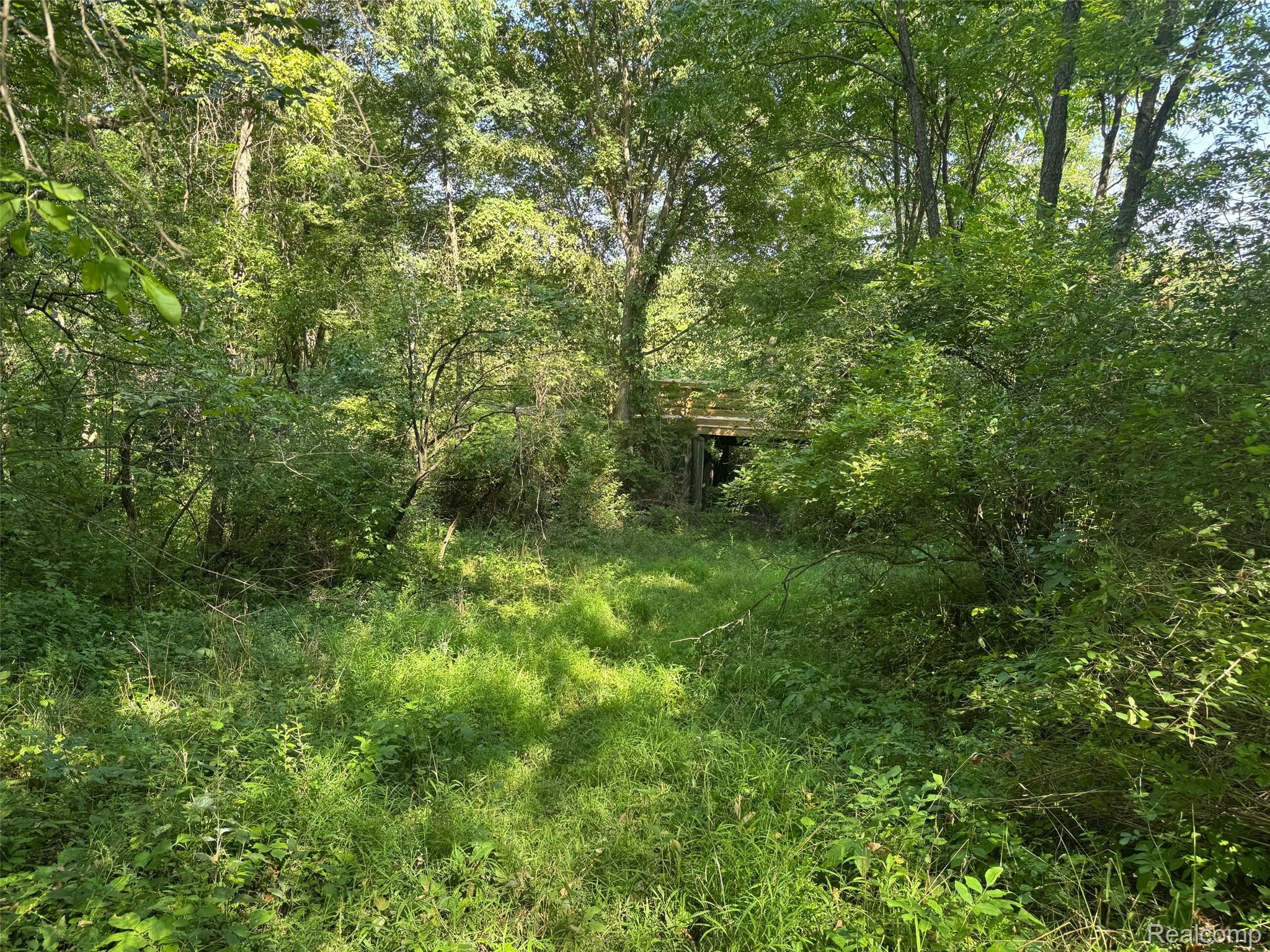 Ville S Mill Road Dryden Township MI 48428