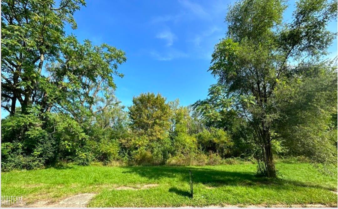 421 E Lorado Avenue Flint City MI 48505
