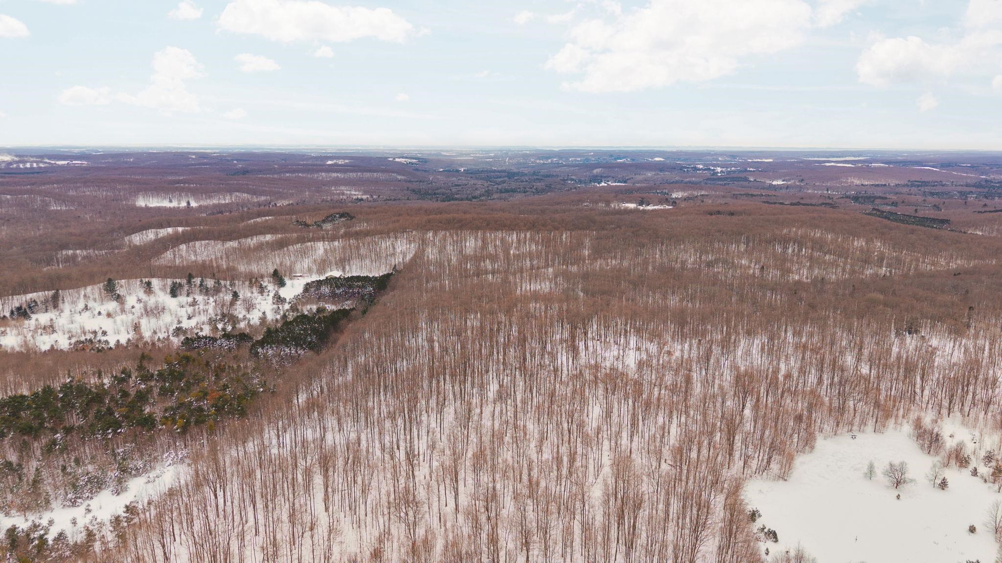 00 Stark Road Chestonia Township MI 49659
