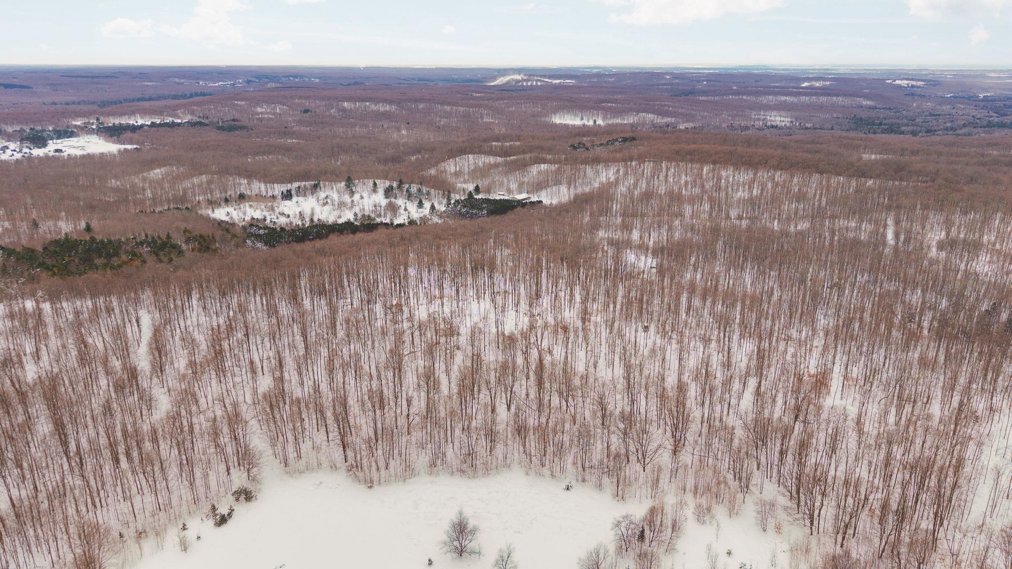 00 Stark Road Chestonia Township MI 49659