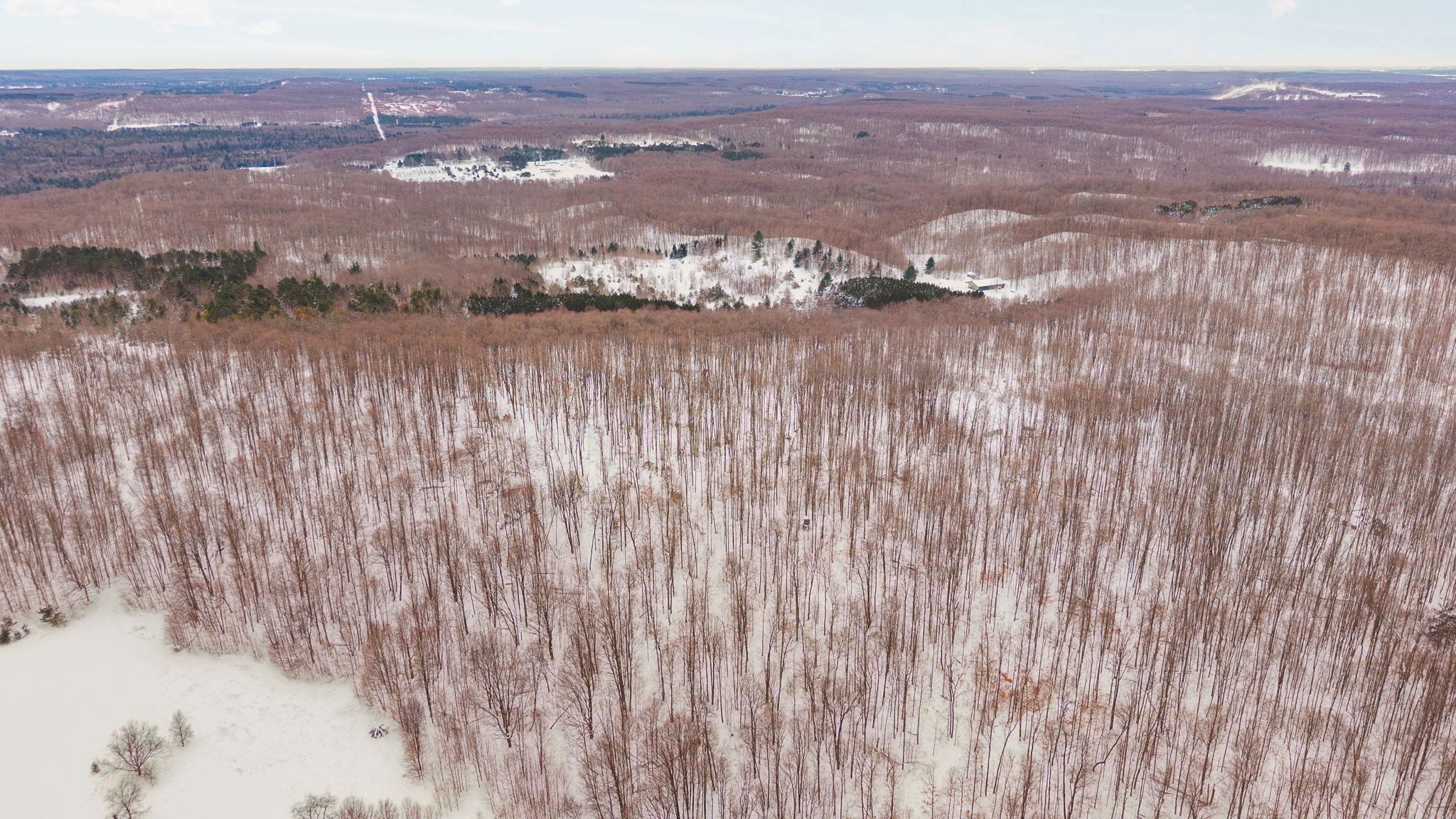 00 Stark Road Chestonia Township MI 49659