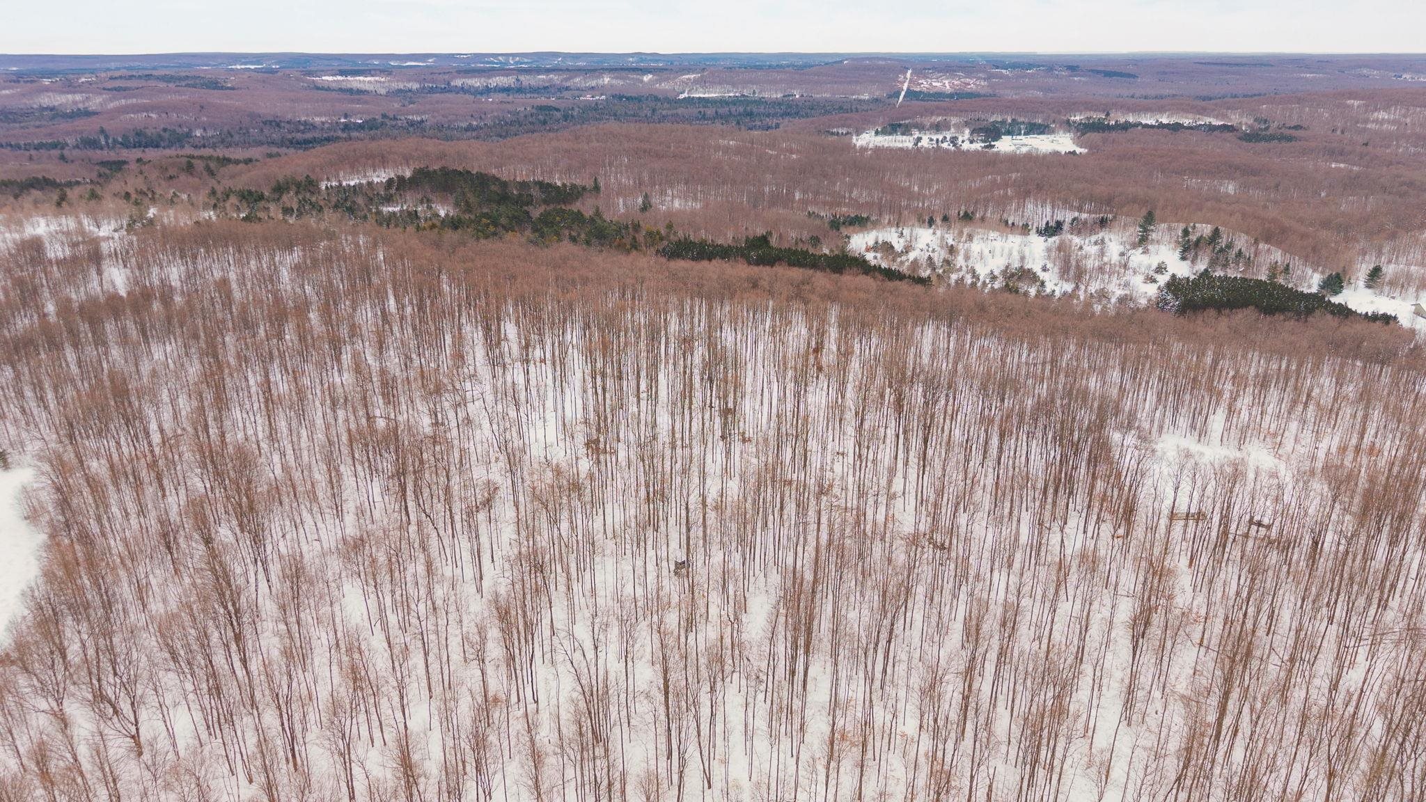 00 Stark Road Chestonia Township MI 49659
