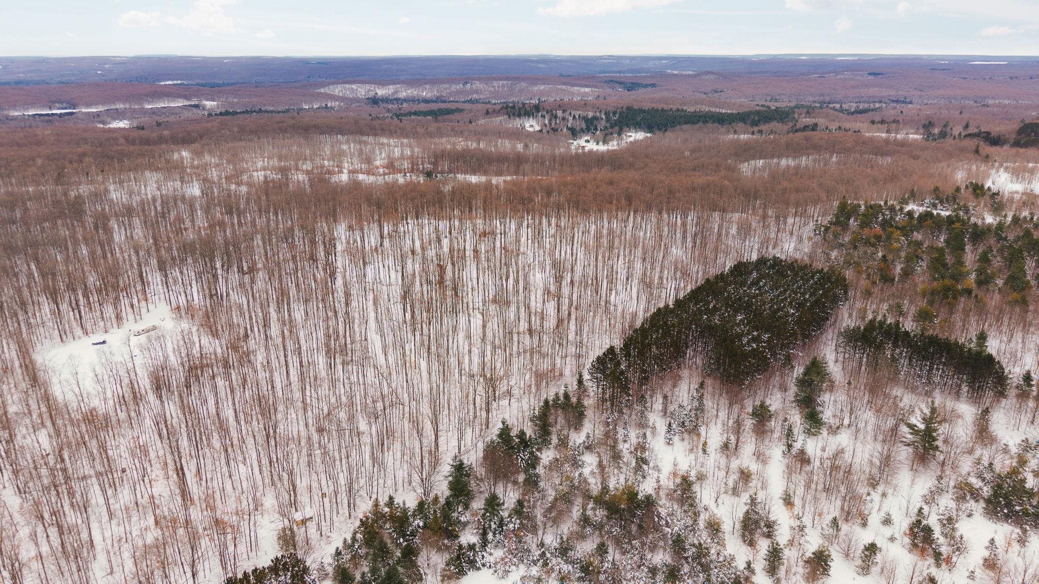 00 Stark Road Chestonia Township MI 49659