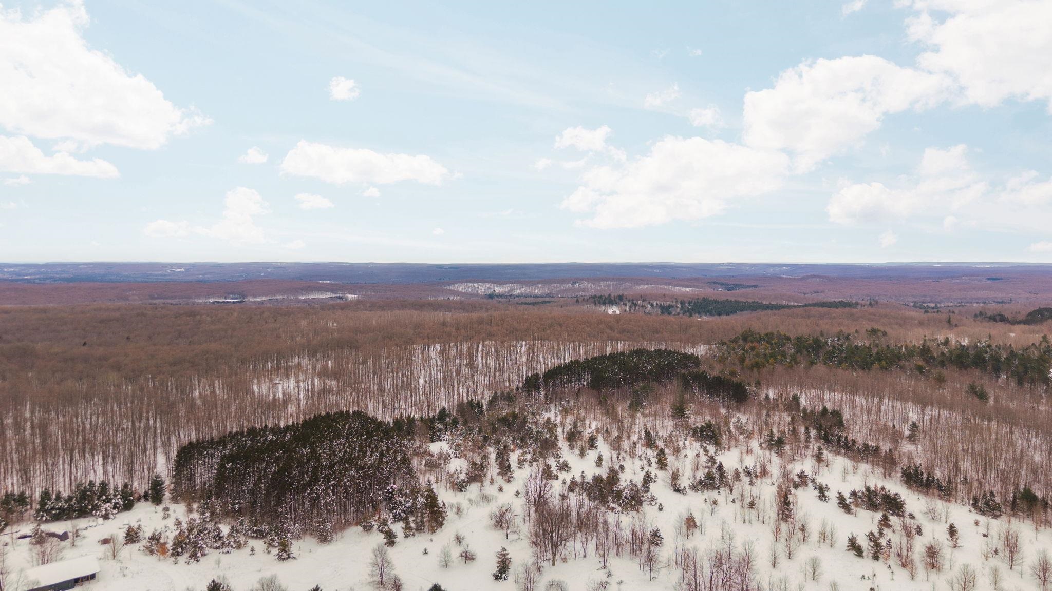 00 Stark Road Chestonia Township MI 49659