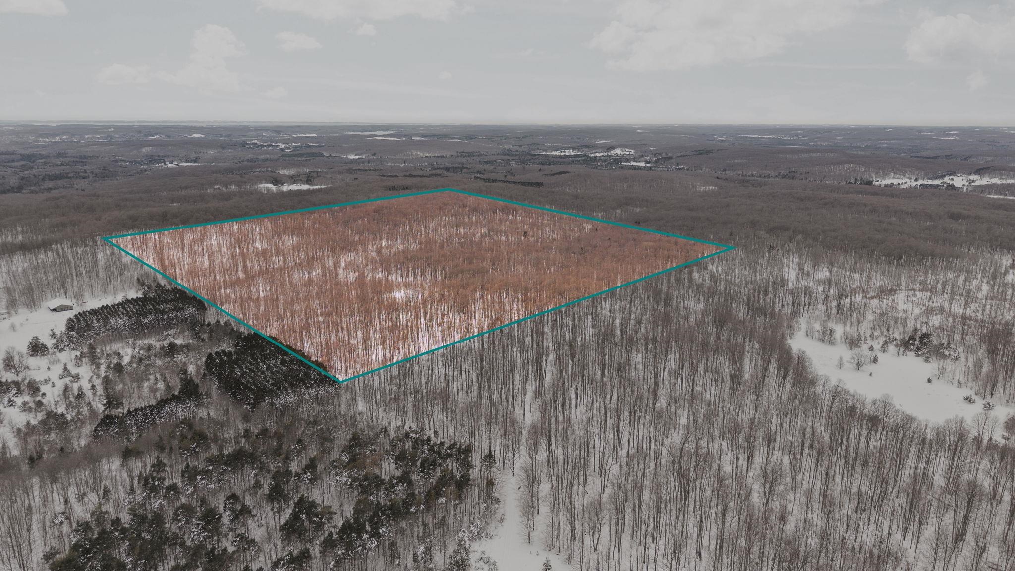 00 Stark Road Chestonia Township MI 49659