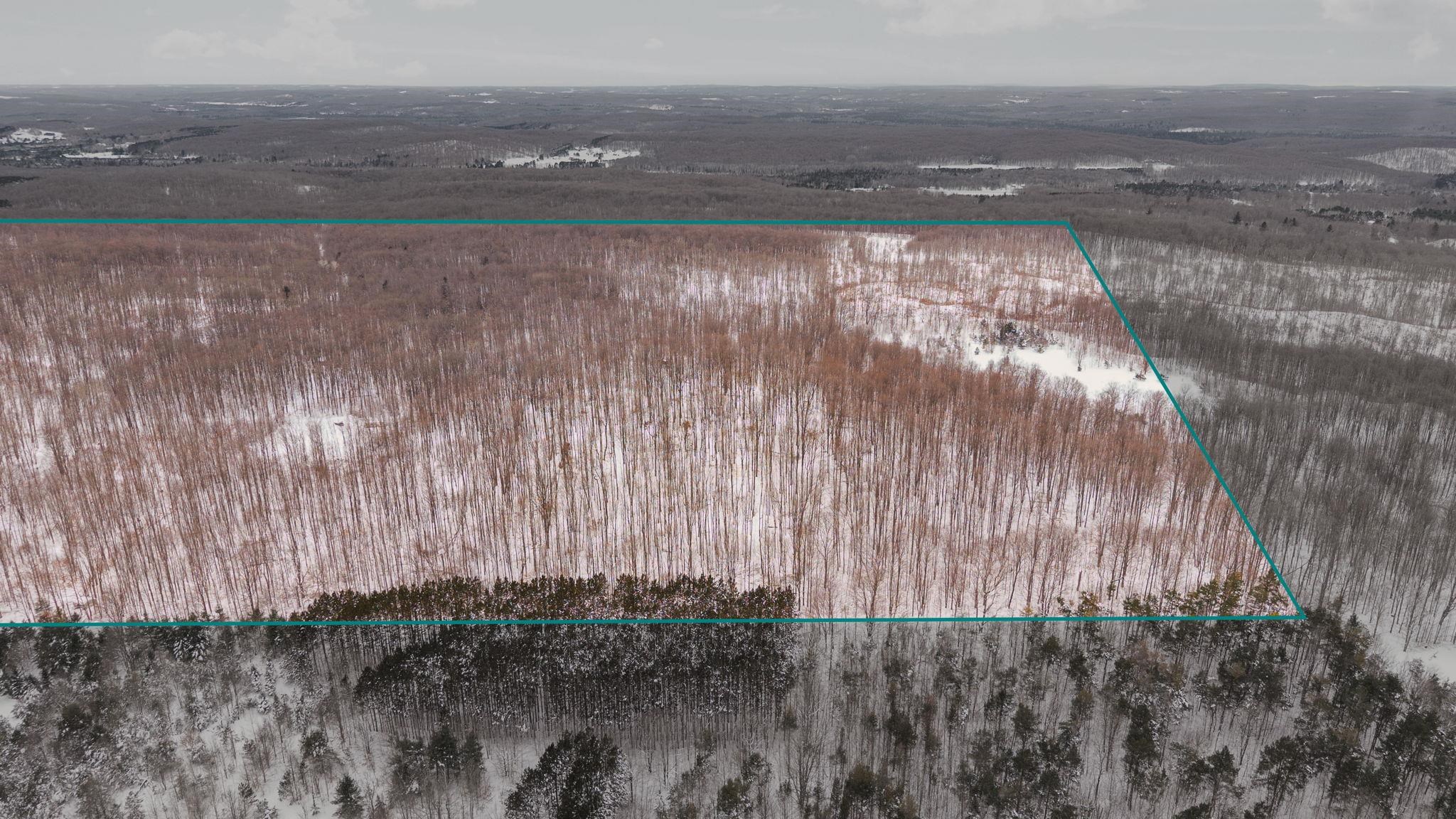 00 Stark Road Chestonia Township MI 49659