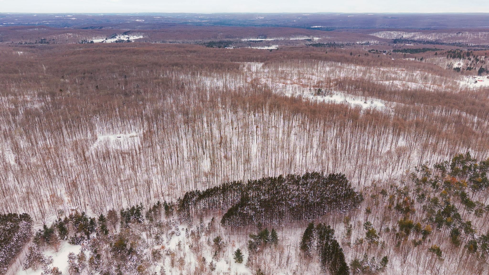 00 Stark Road Chestonia Township MI 49659