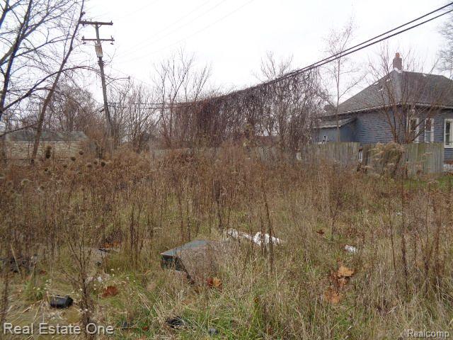 10011 Belleterre Street Detroit City MI 48204