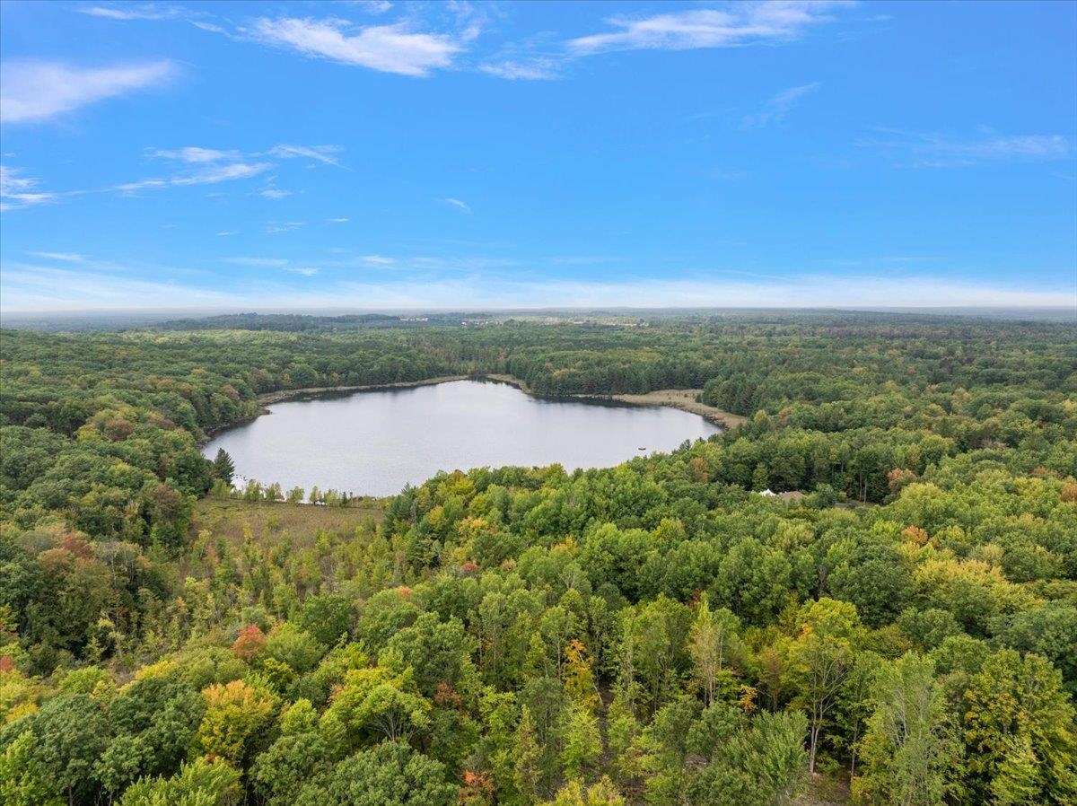 3943 N Skookum Road Ellsworth Township MI 49656