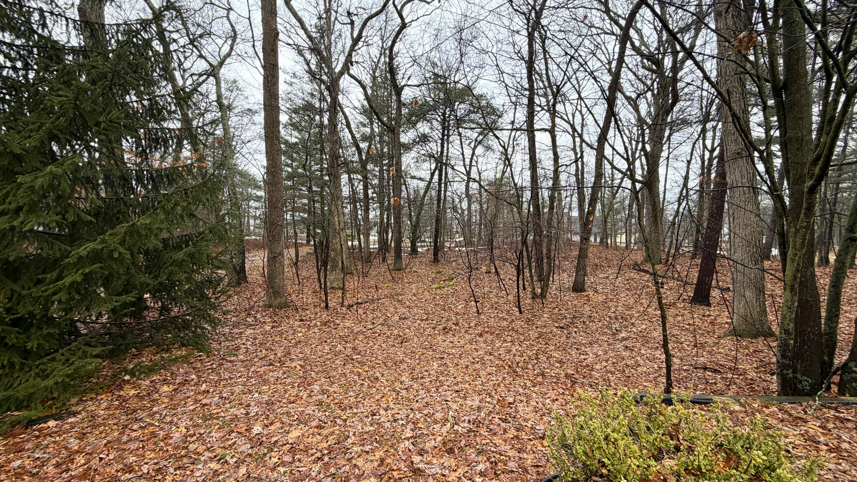 7585 Tree Top Lane Caseville Township MI 48755