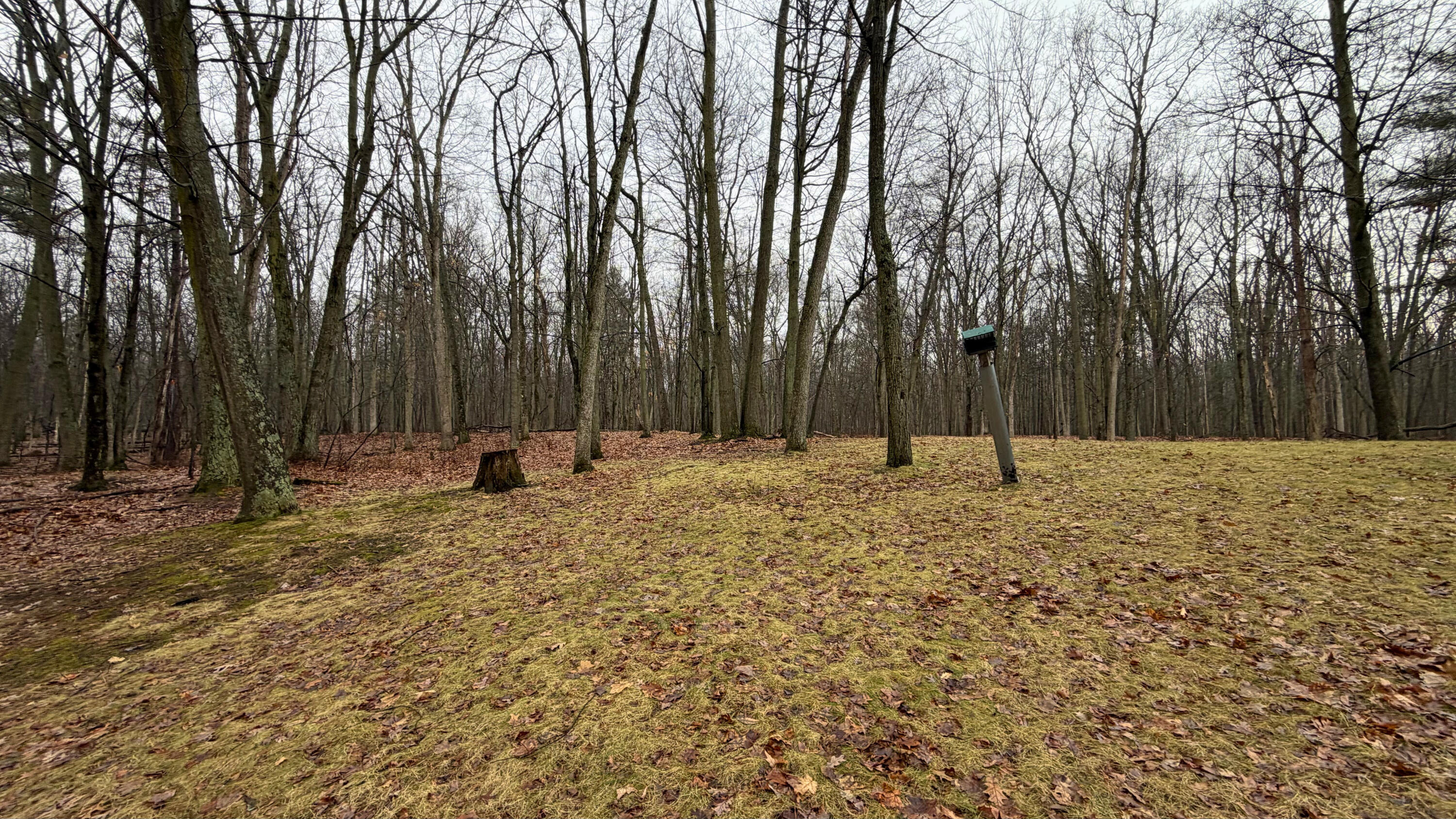 7585 Tree Top Lane Caseville Township MI 48755