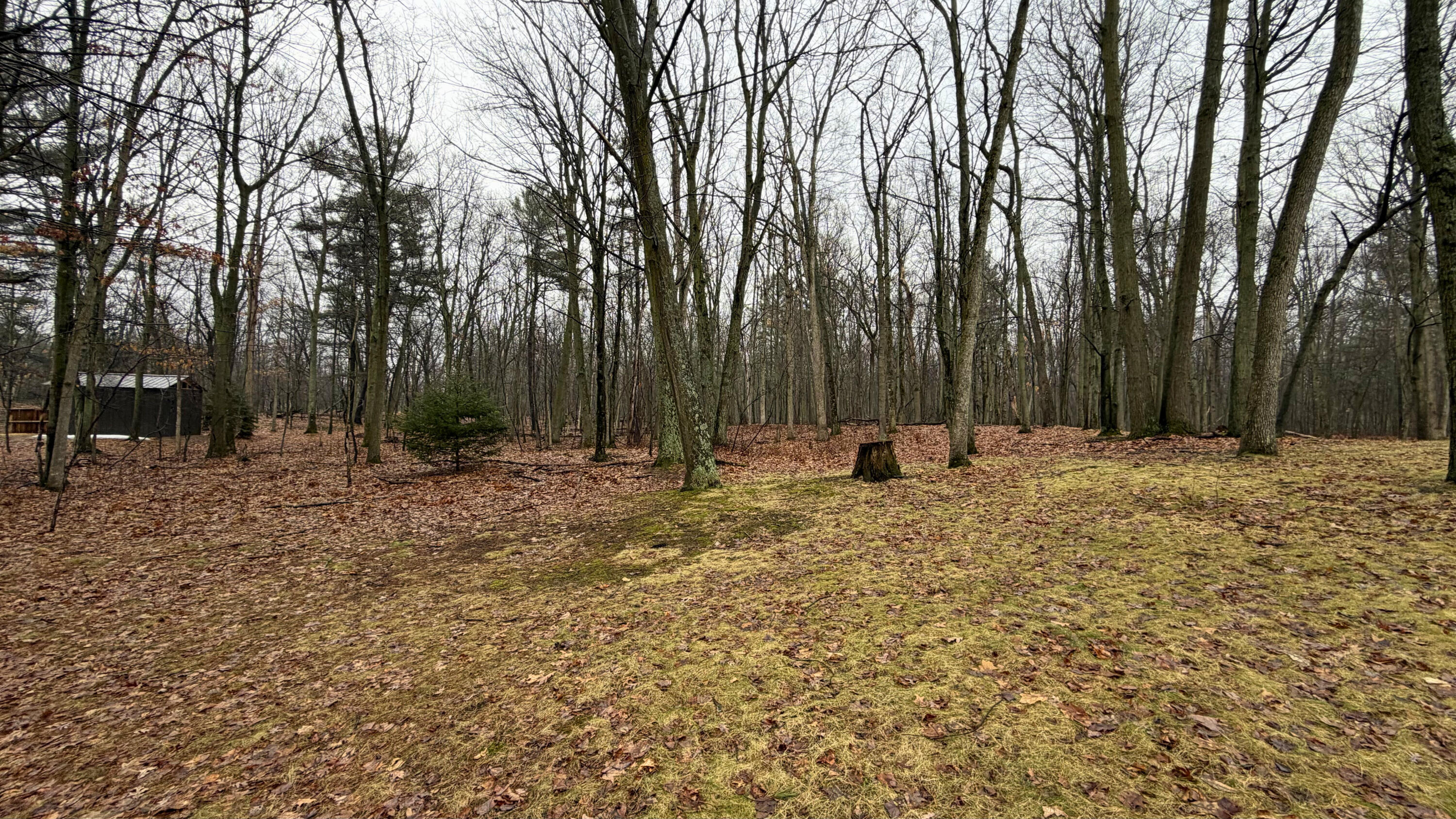 7585 Tree Top Lane Caseville Township MI 48755
