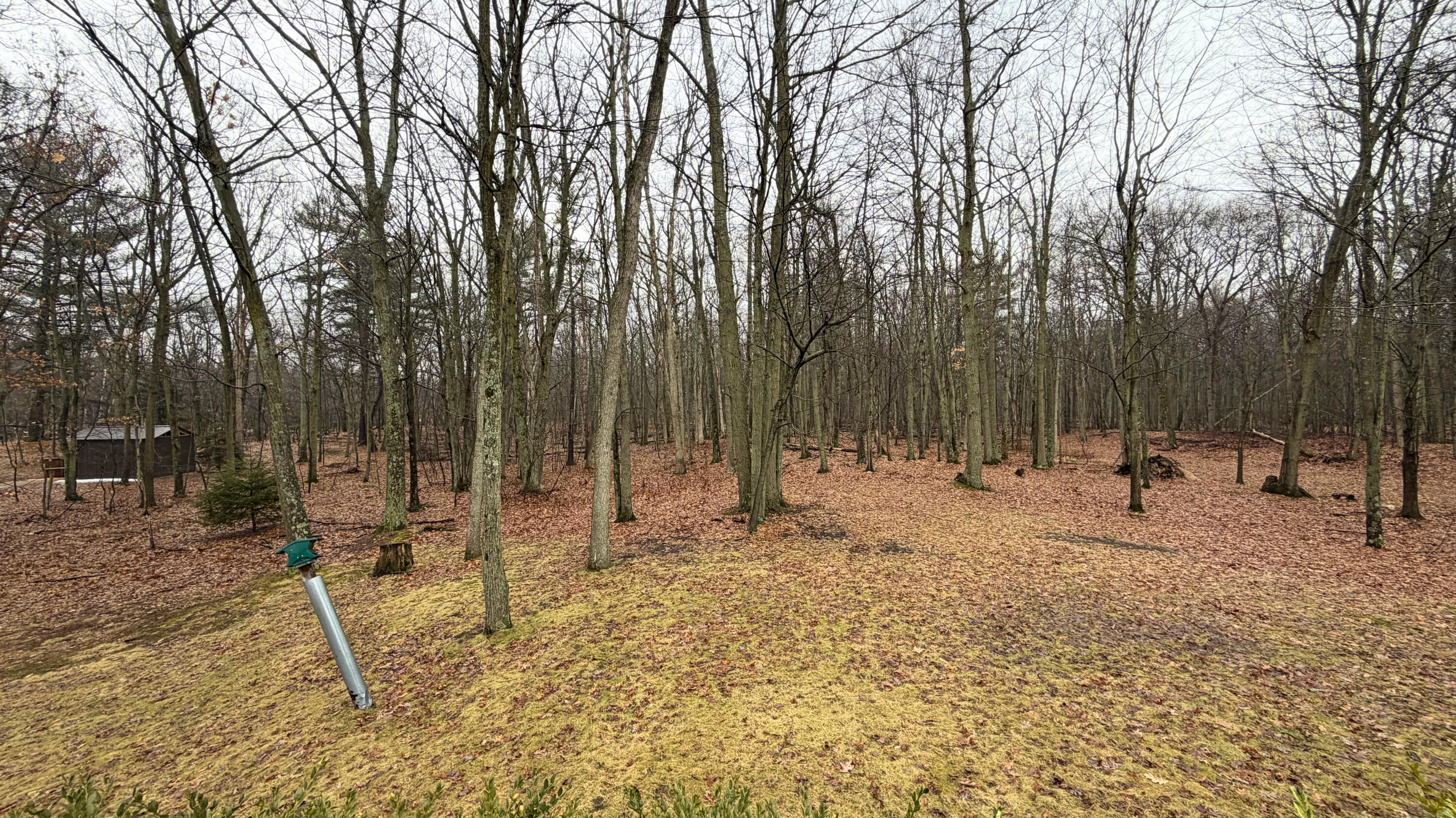 7585 Tree Top Lane Caseville Township MI 48755