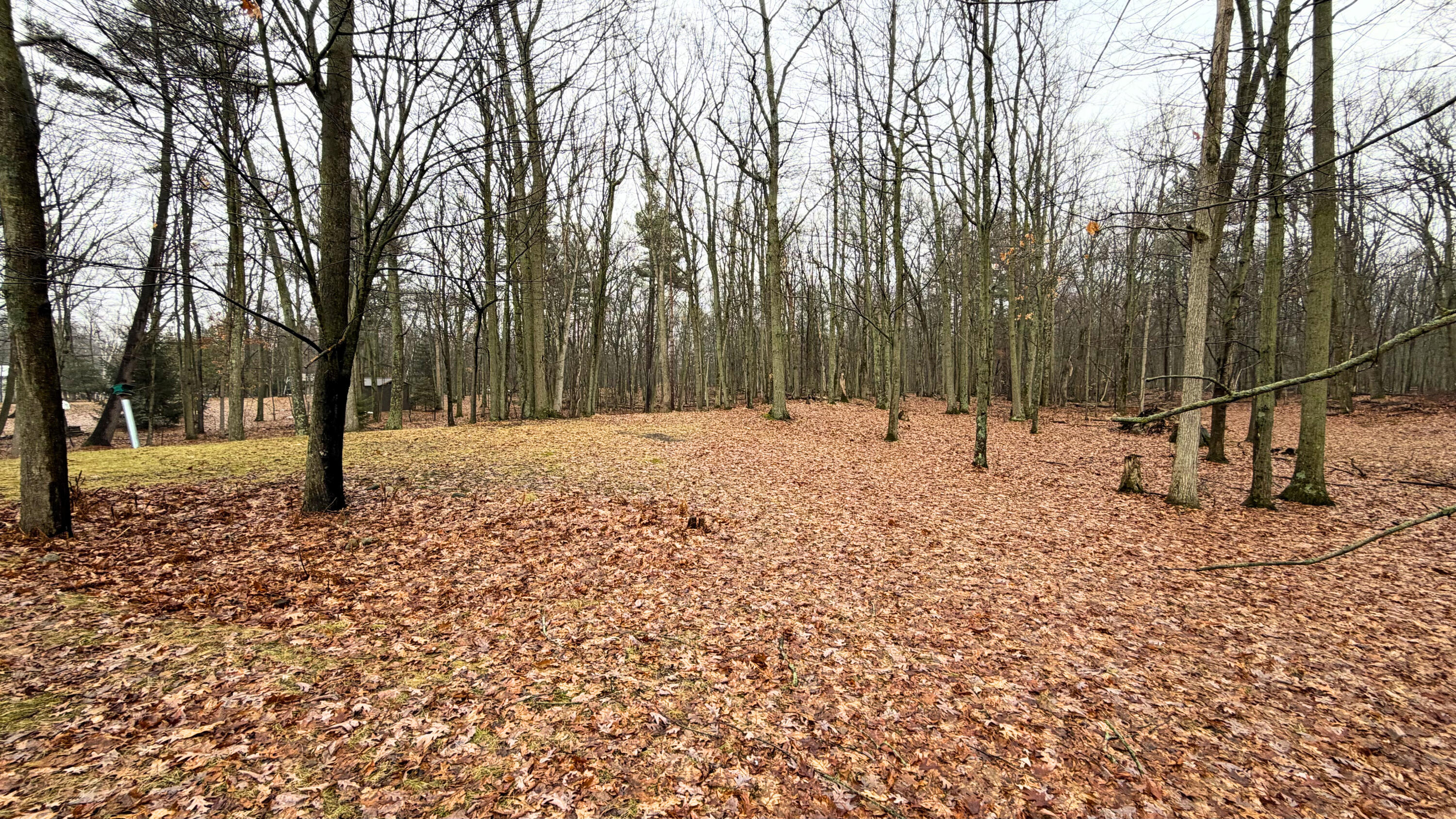 7585 Tree Top Lane Caseville Township MI 48755