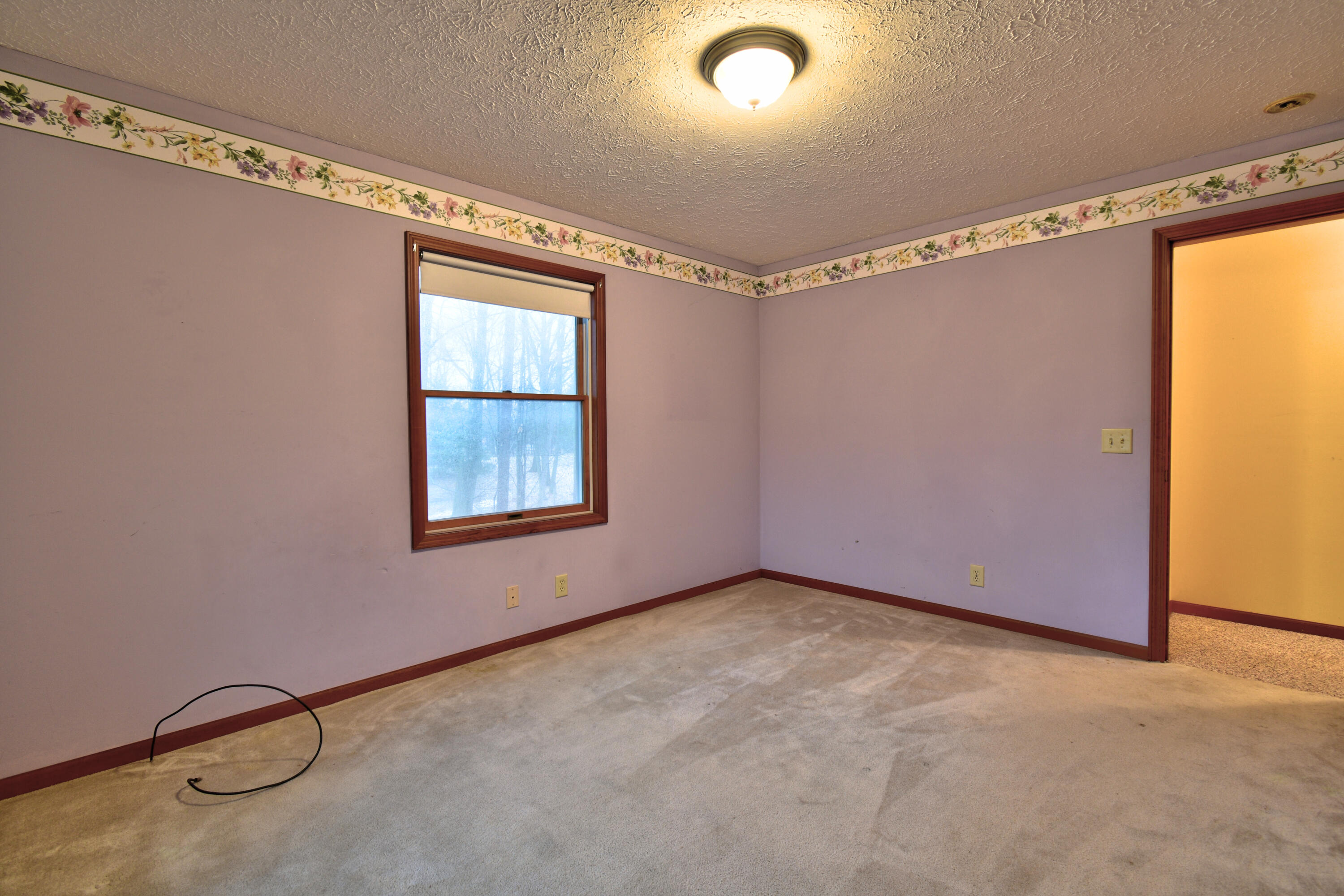 7585 Tree Top Lane Caseville Township MI 48755