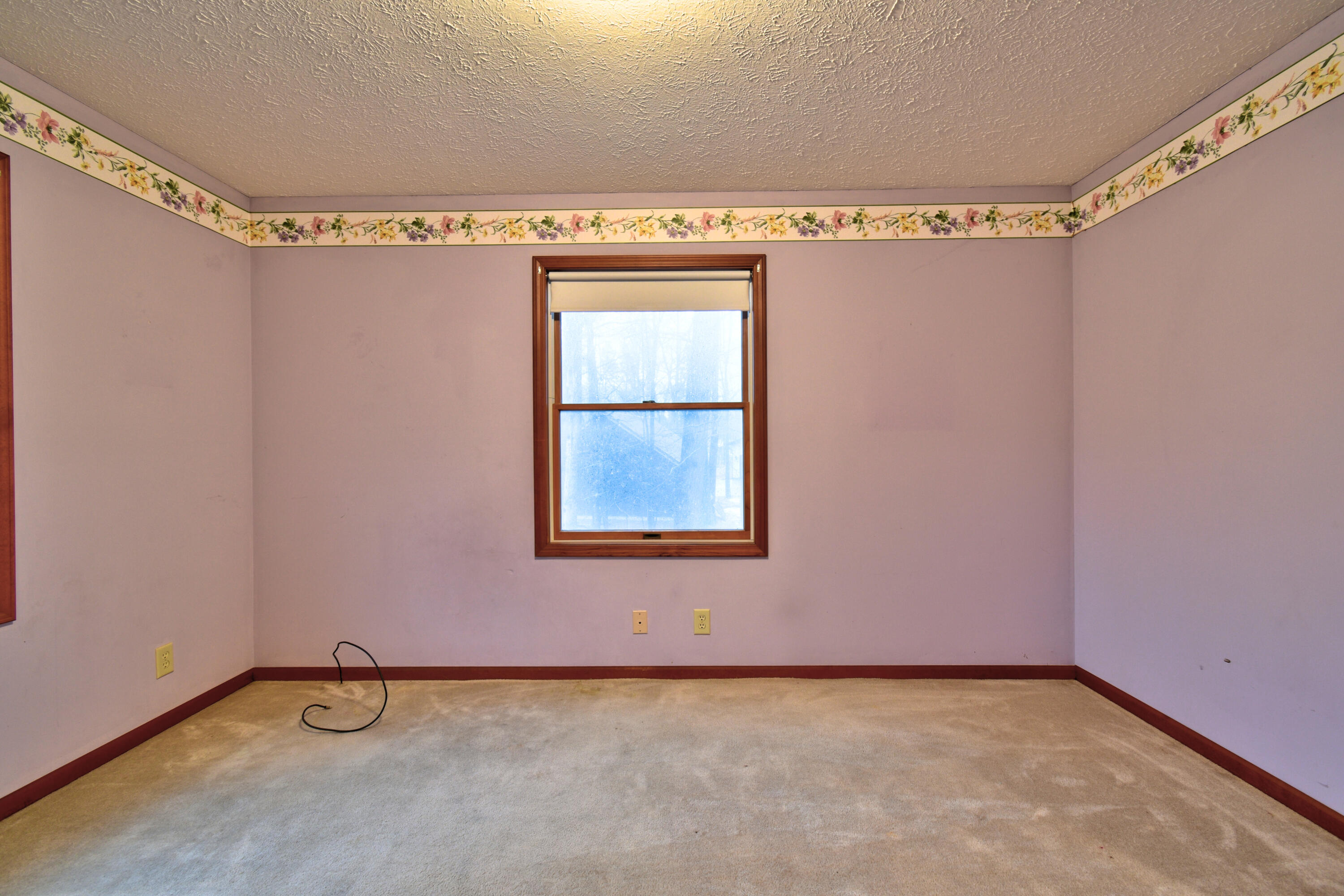 7585 Tree Top Lane Caseville Township MI 48755