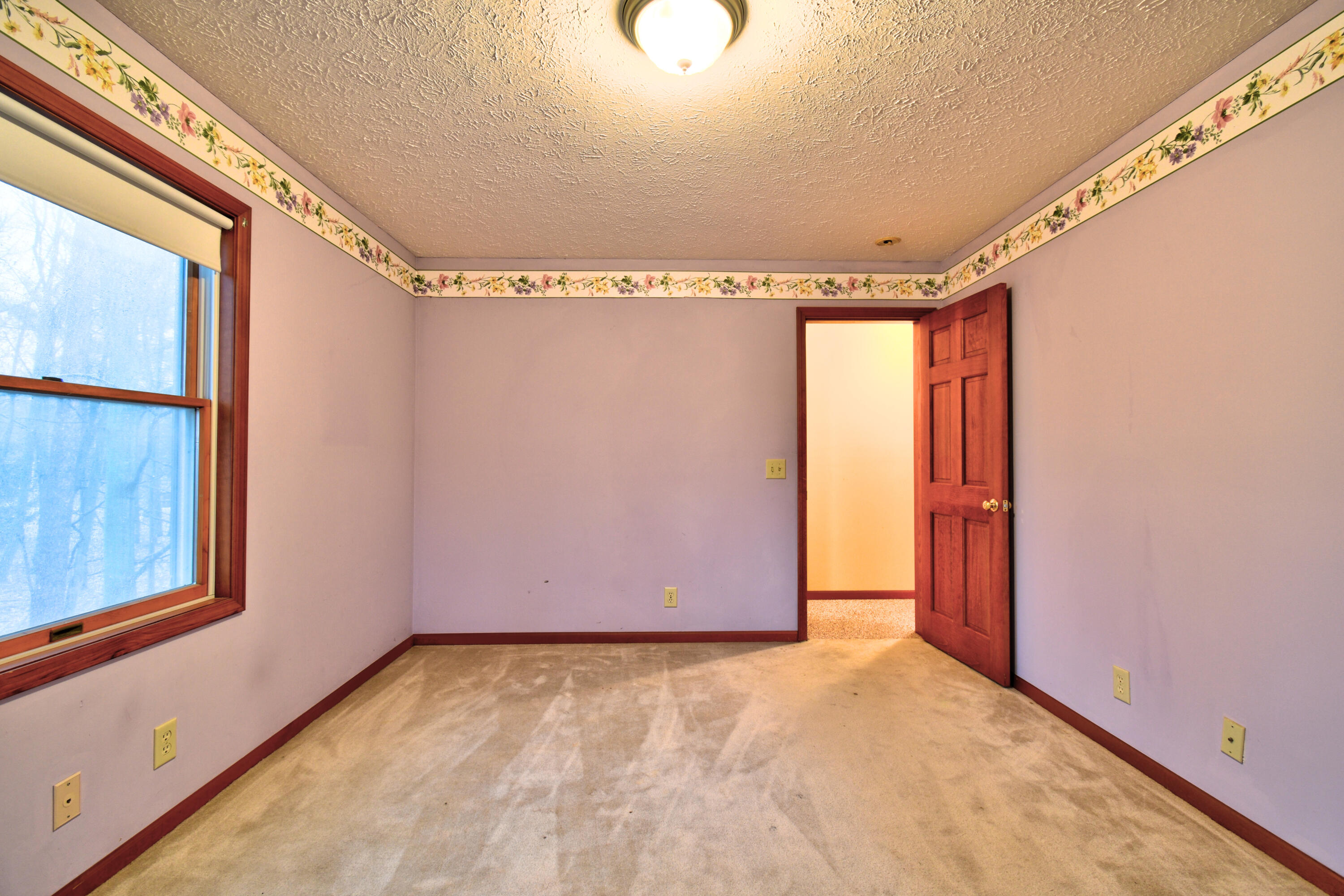 7585 Tree Top Lane Caseville Township MI 48755