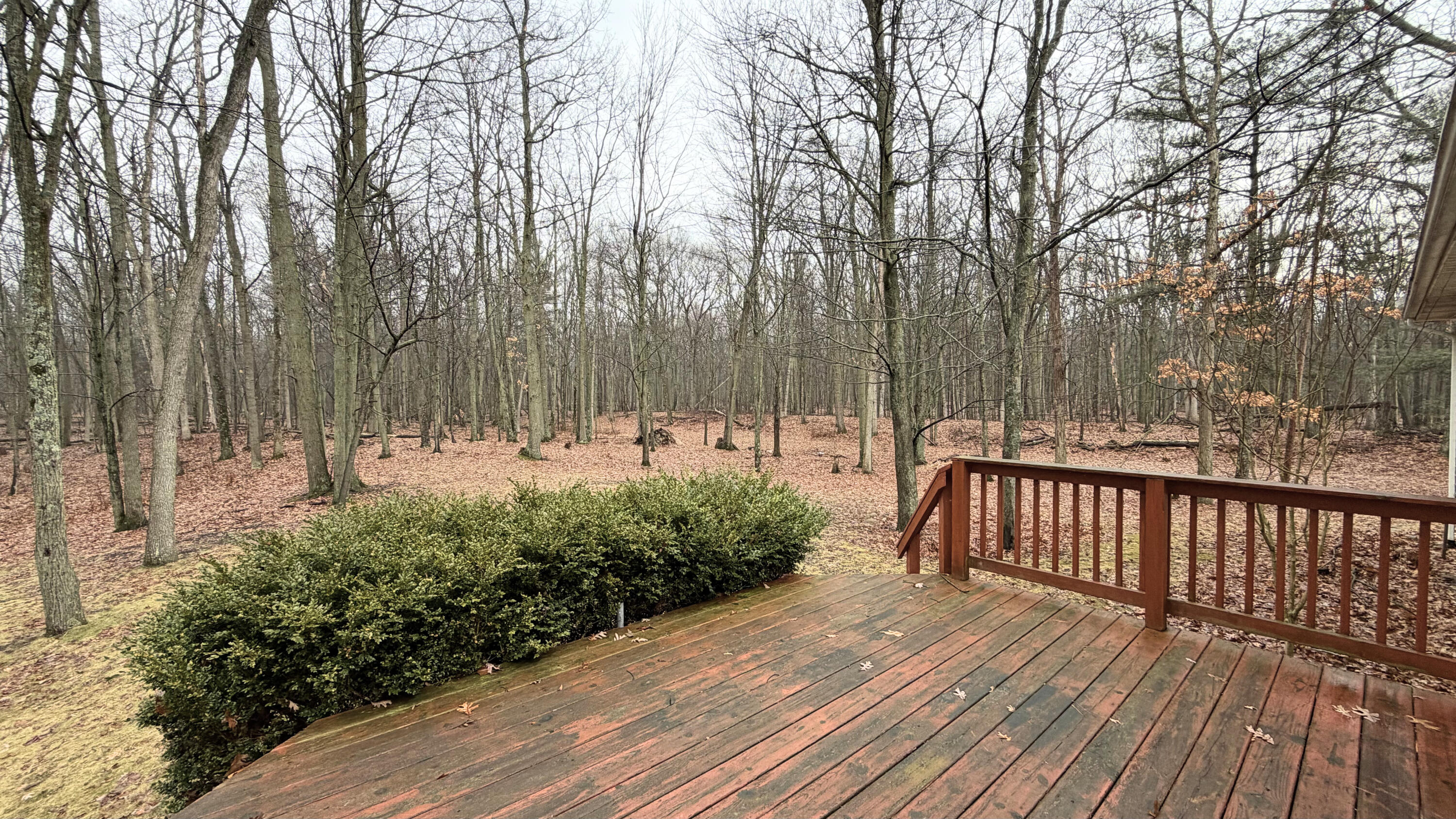 7585 Tree Top Lane Caseville Township MI 48755