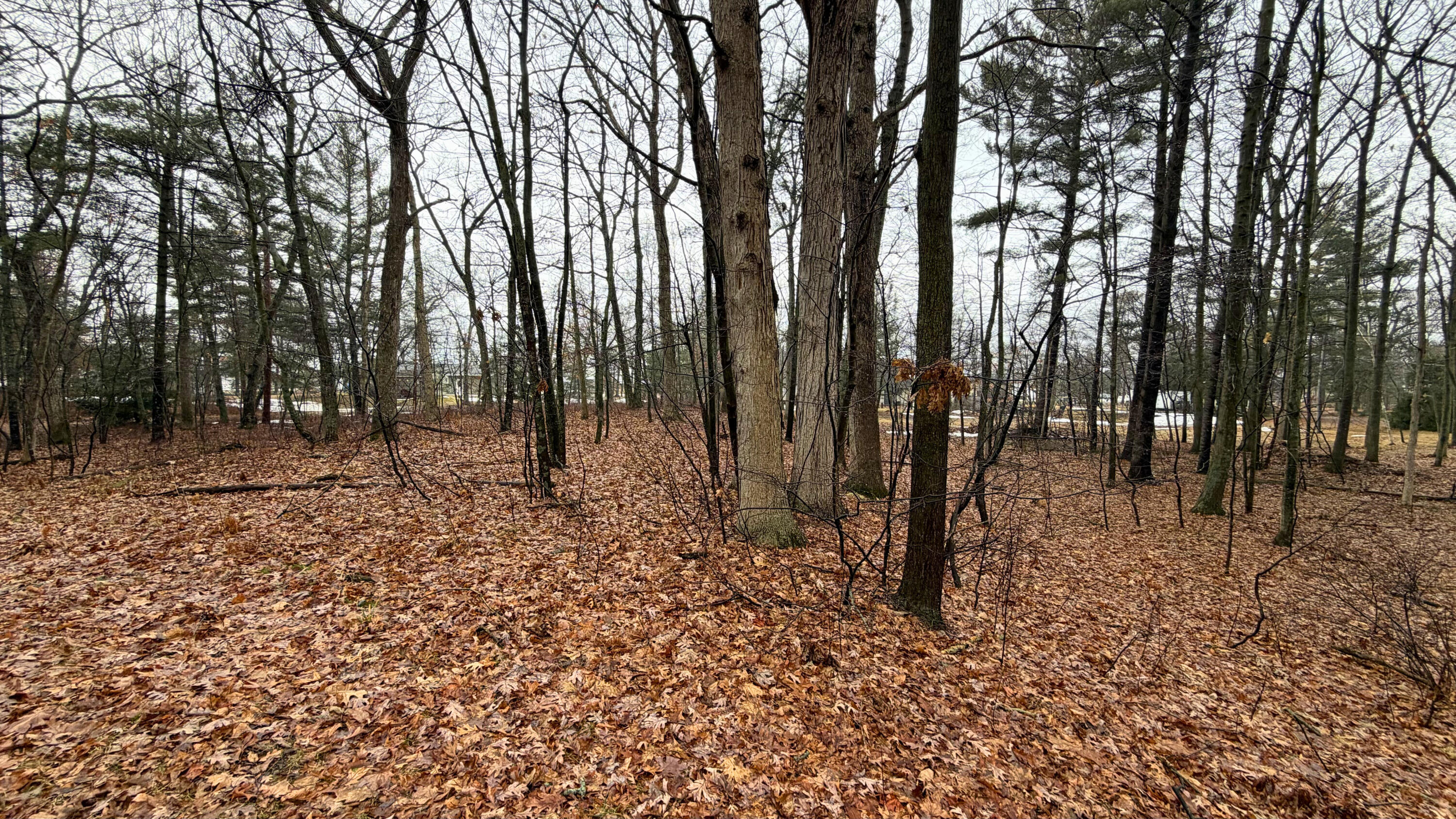7585 Tree Top Lane Caseville Township MI 48755