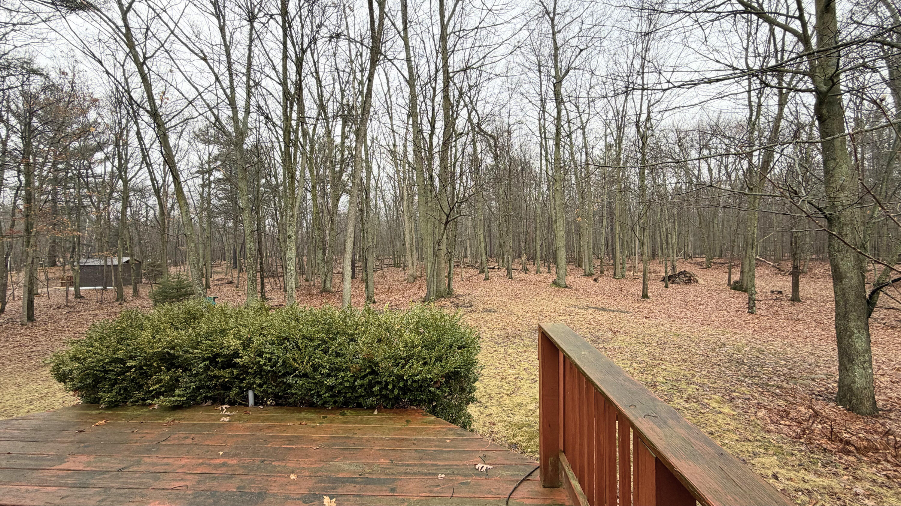 7585 Tree Top Lane Caseville Township MI 48755
