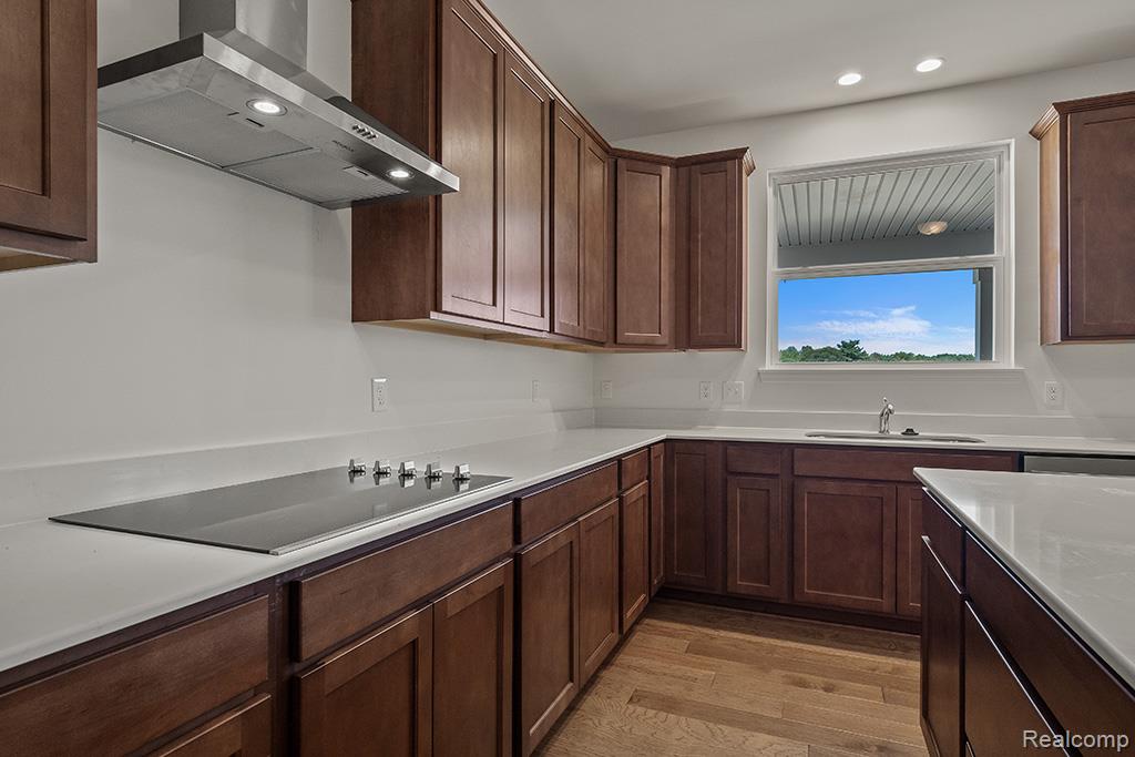 29128 Myles Andrew Drive Lyon Charter Township MI 48178