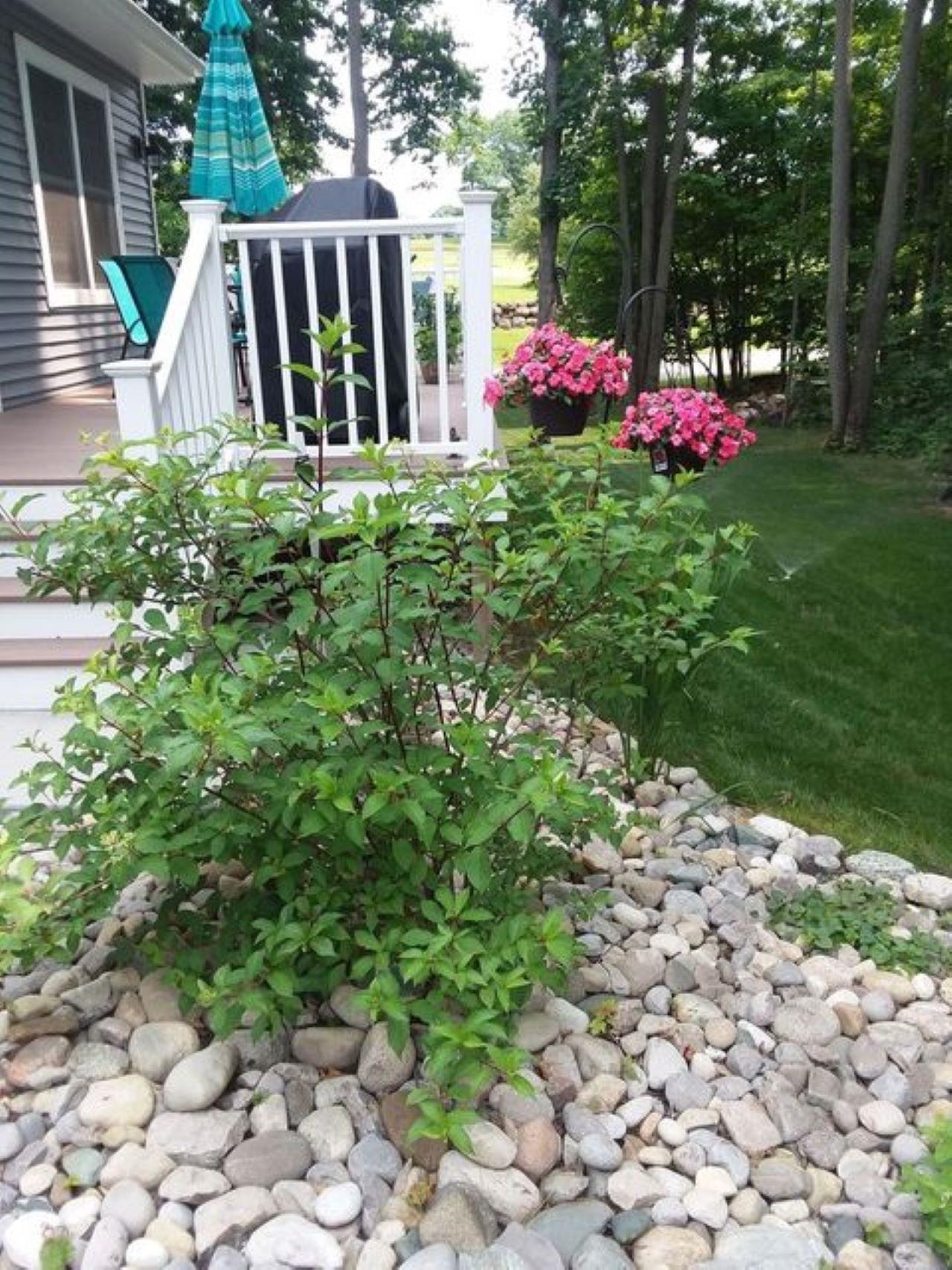 4532 Valley View Kearney Township MI 49615