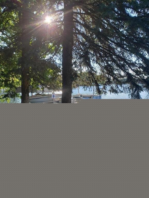10086 King (this Island An Island) Road Springfield Charter Township MI 48350