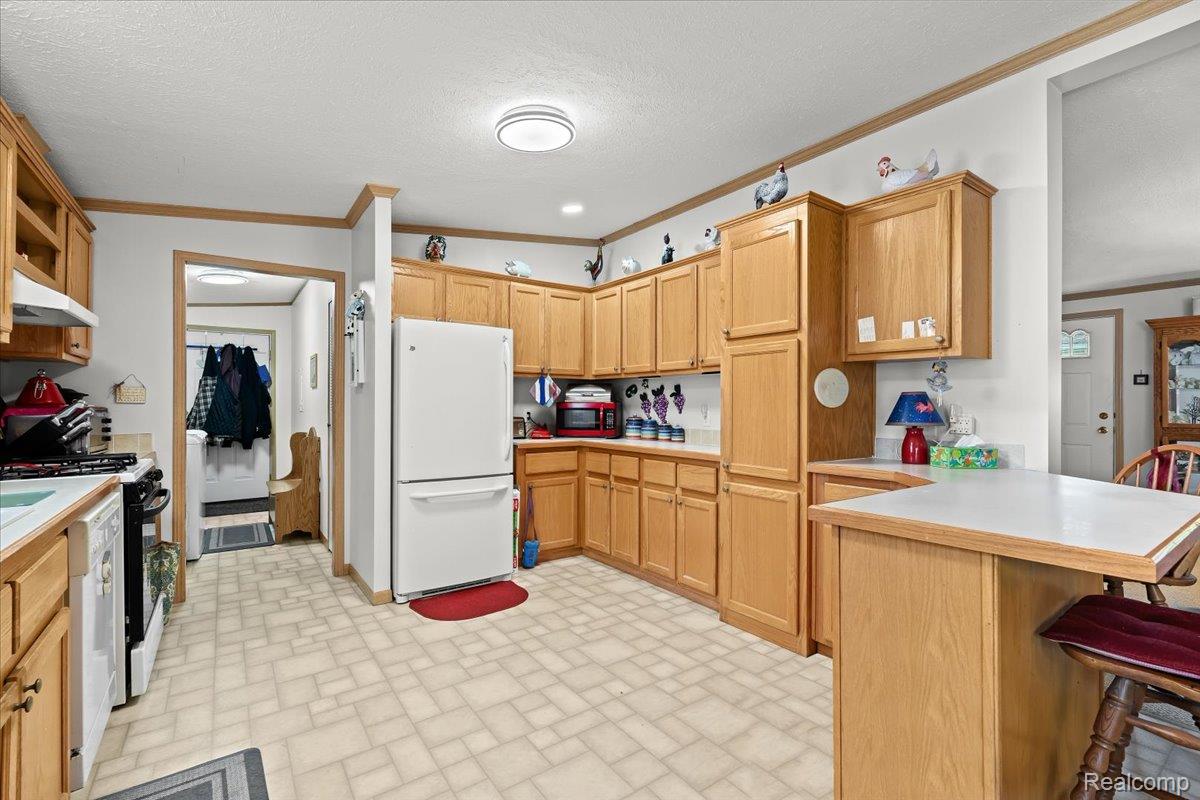 11092 Indianwood Court Green Oak Township MI 48178