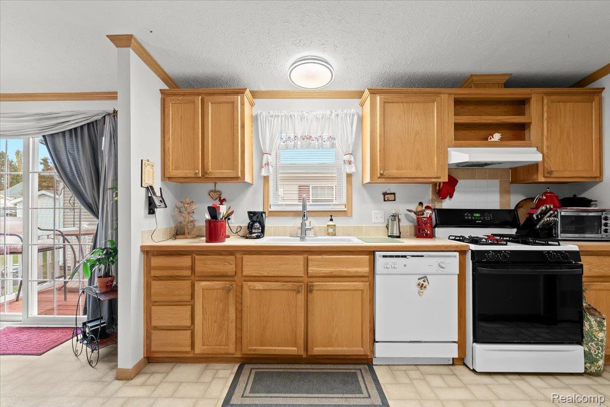 11092 Indianwood Court Green Oak Township MI 48178