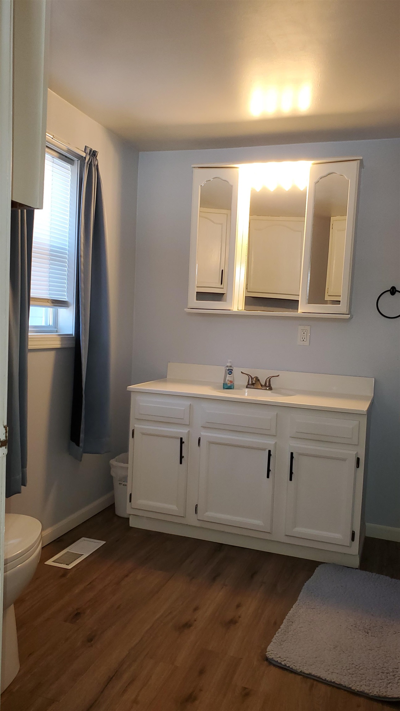 125 Park Drive Alma City MI 48801