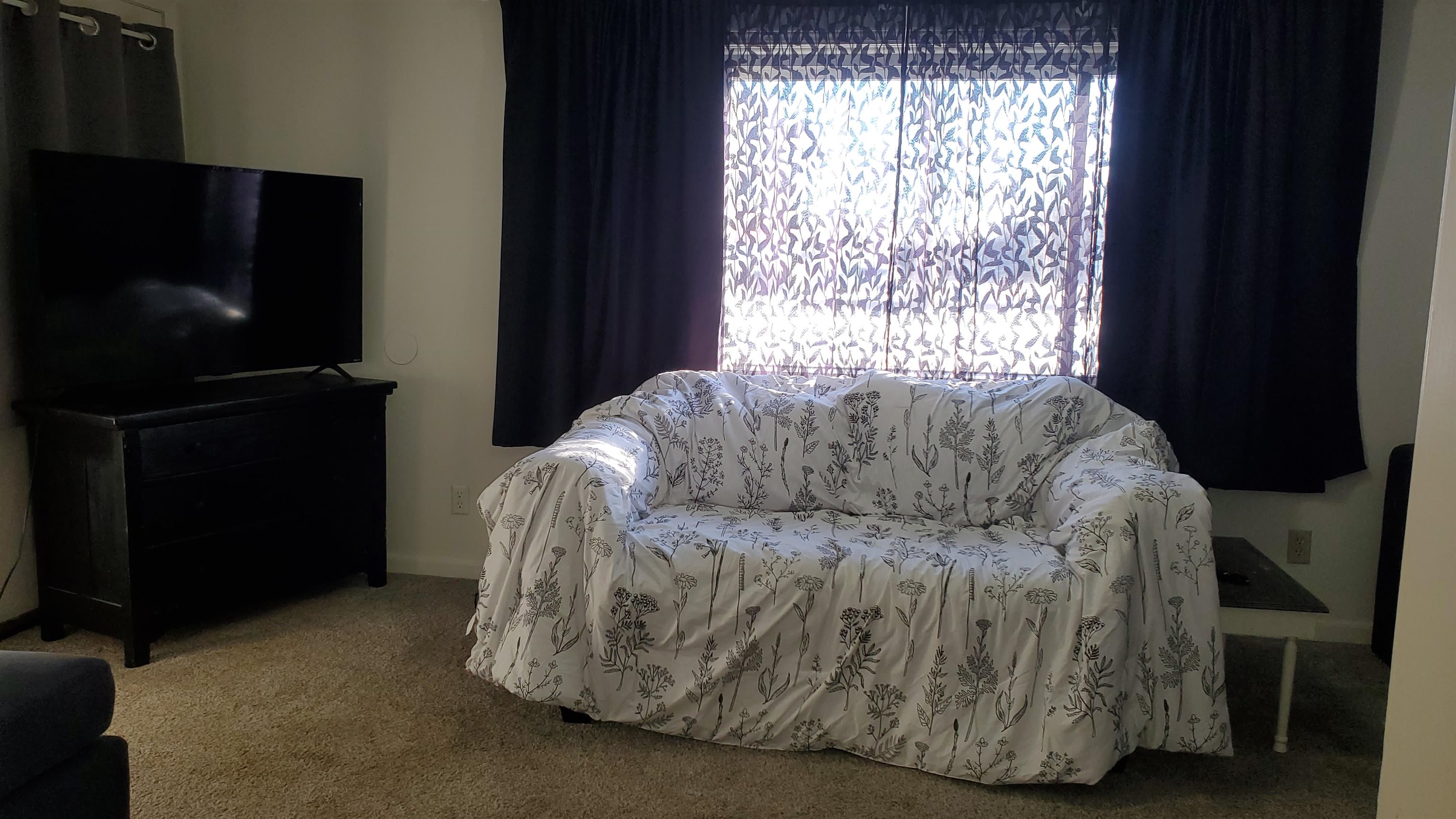 125 Park Drive Alma City MI 48801