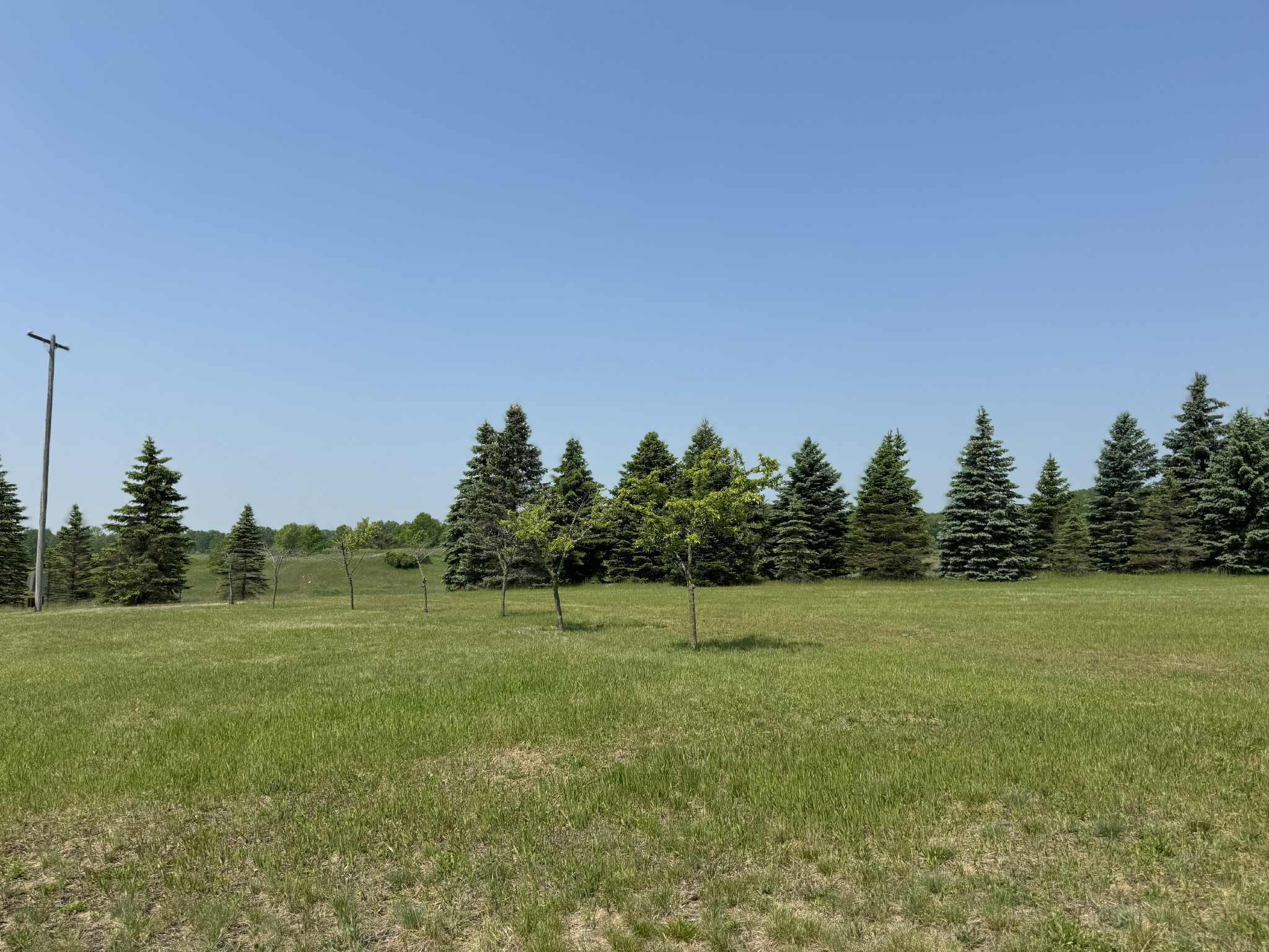6294 100th Avenue Osceola Township MI 49631
