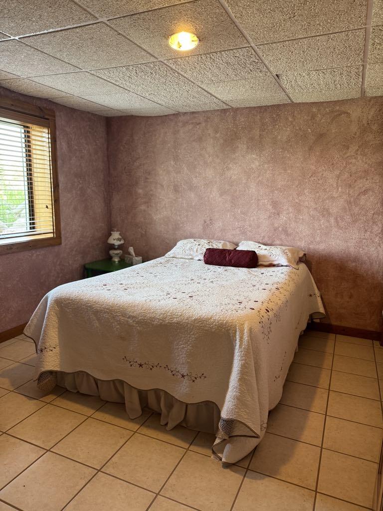 6294 100th Avenue Osceola Township MI 49631