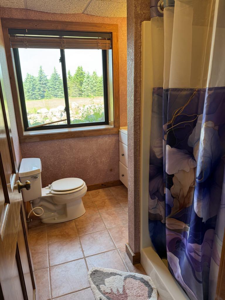 6294 100th Avenue Osceola Township MI 49631