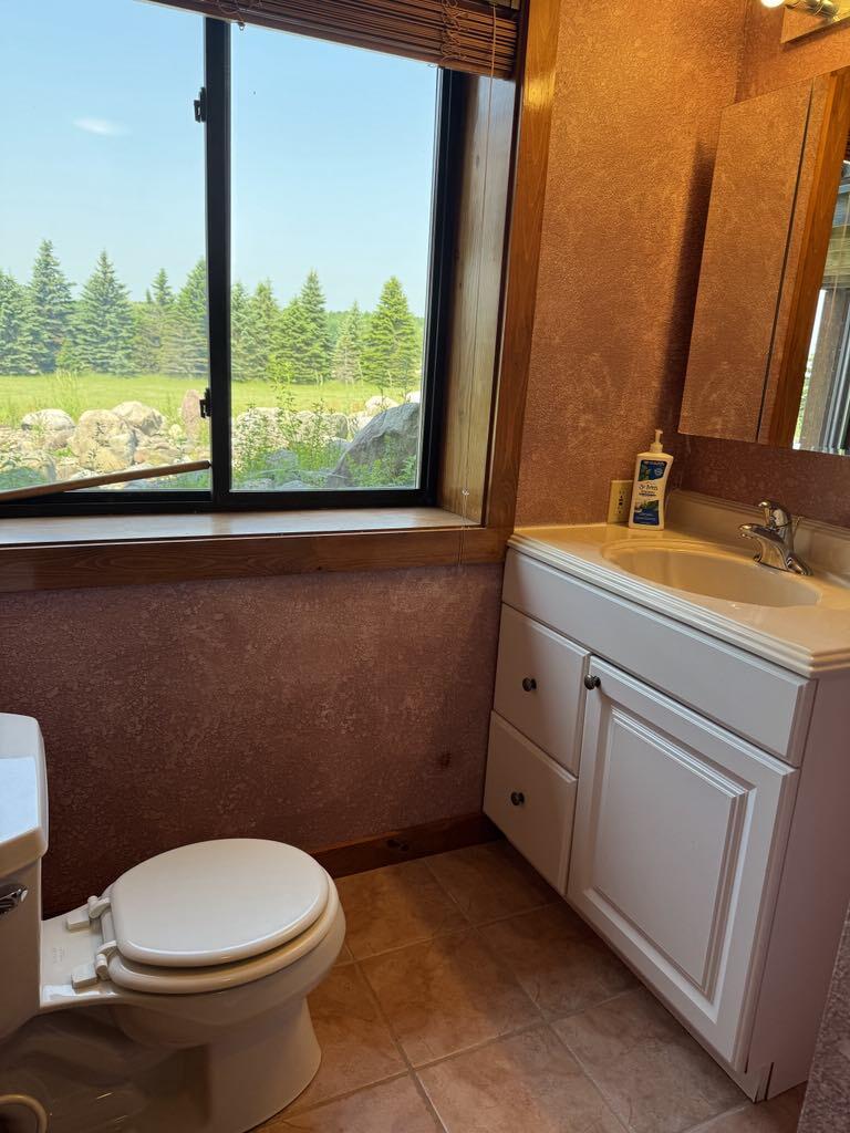 6294 100th Avenue Osceola Township MI 49631