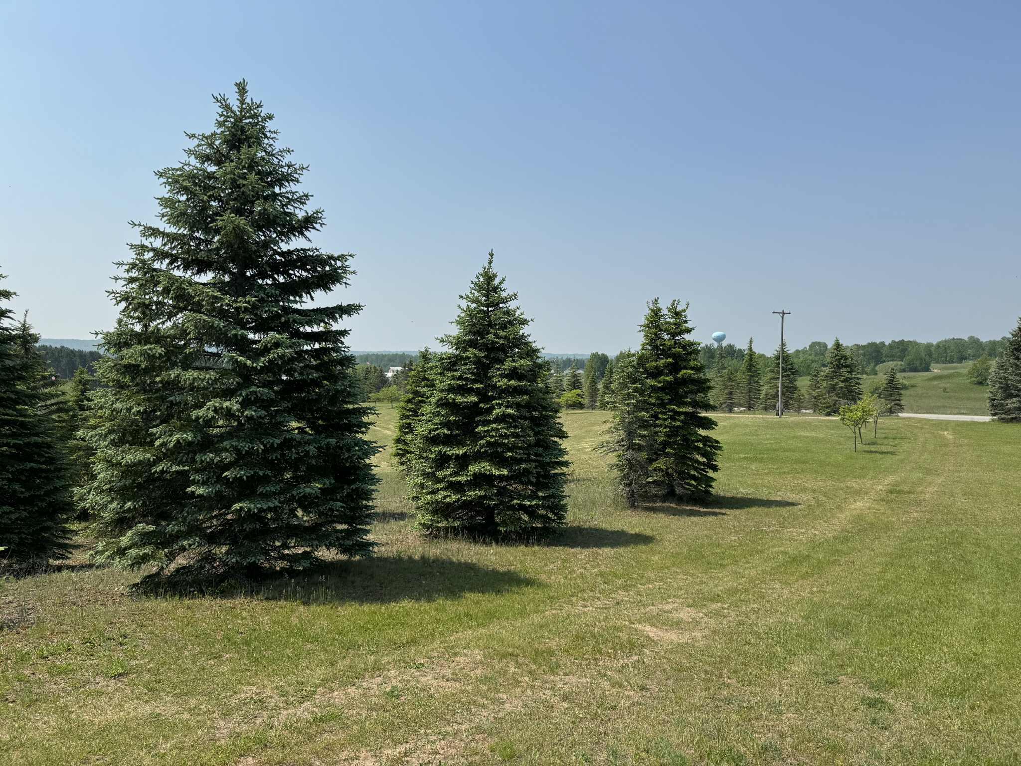 6294 100th Avenue Osceola Township MI 49631