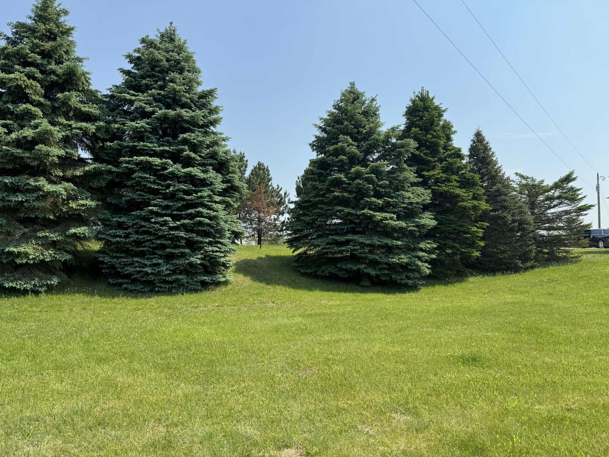 6294 100th Avenue Osceola Township MI 49631
