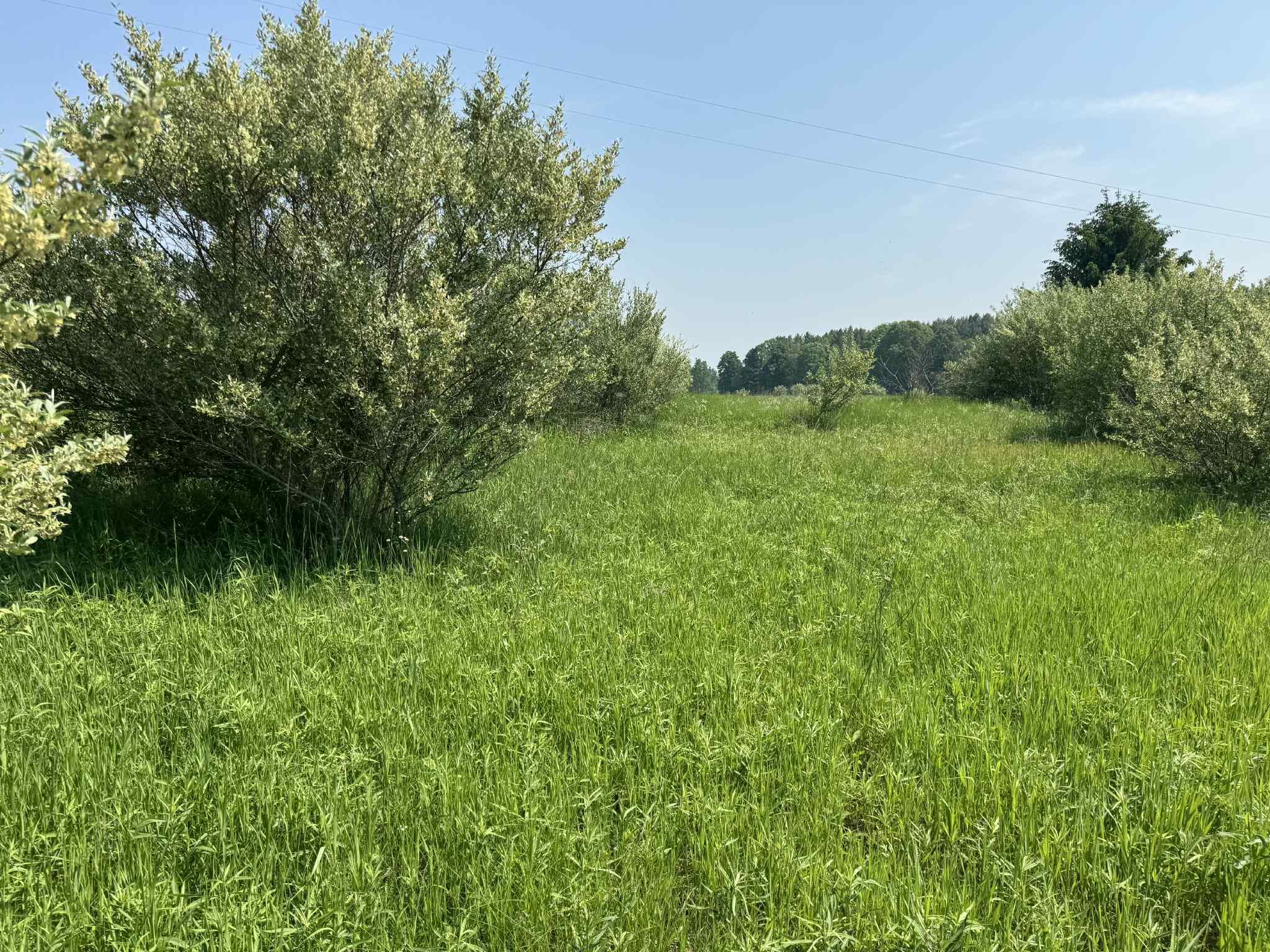 6294 100th Avenue Osceola Township MI 49631