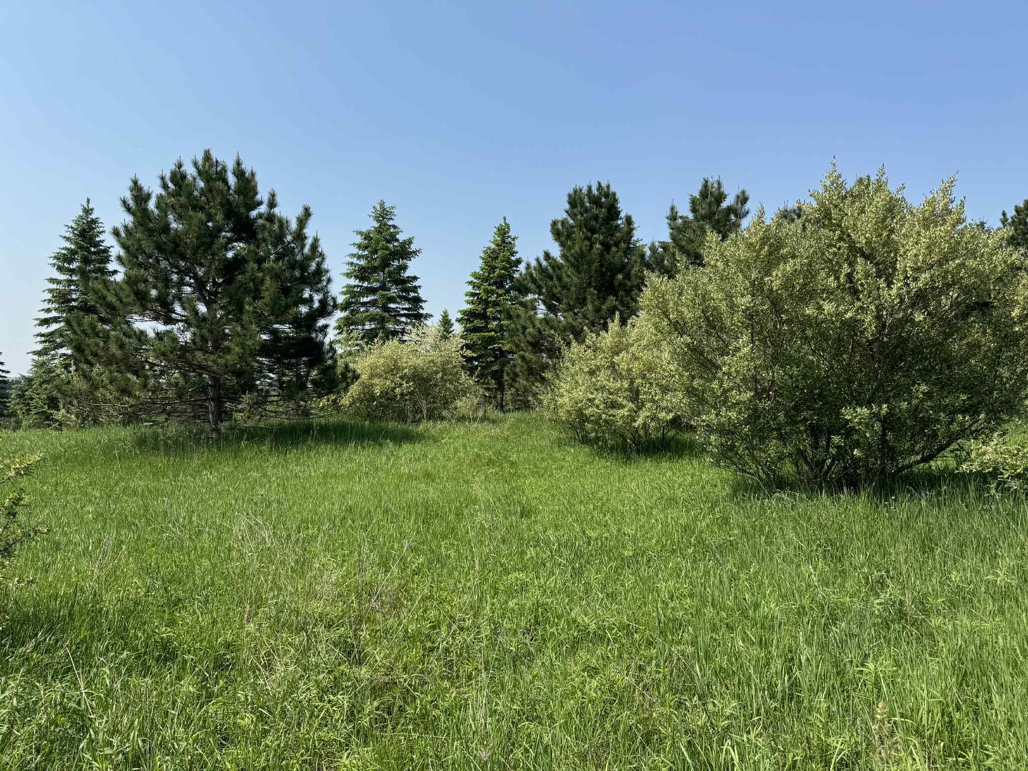 6294 100th Avenue Osceola Township MI 49631