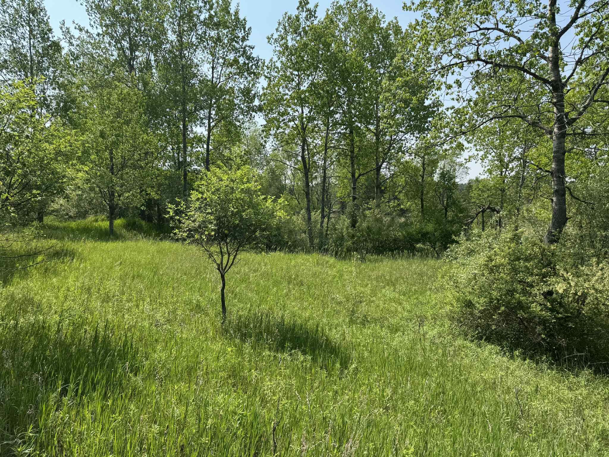 6294 100th Avenue Osceola Township MI 49631