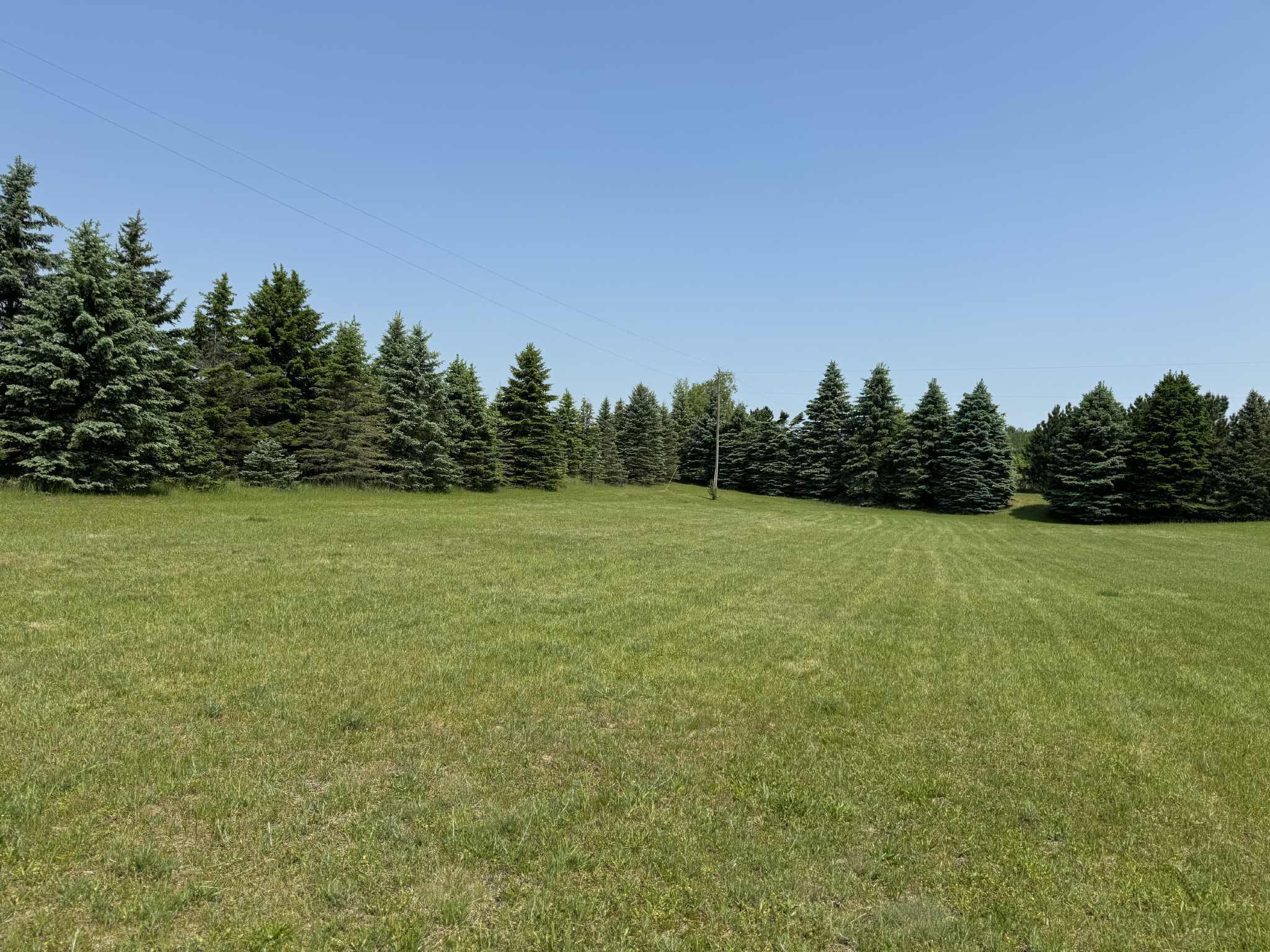6294 100th Avenue Osceola Township MI 49631